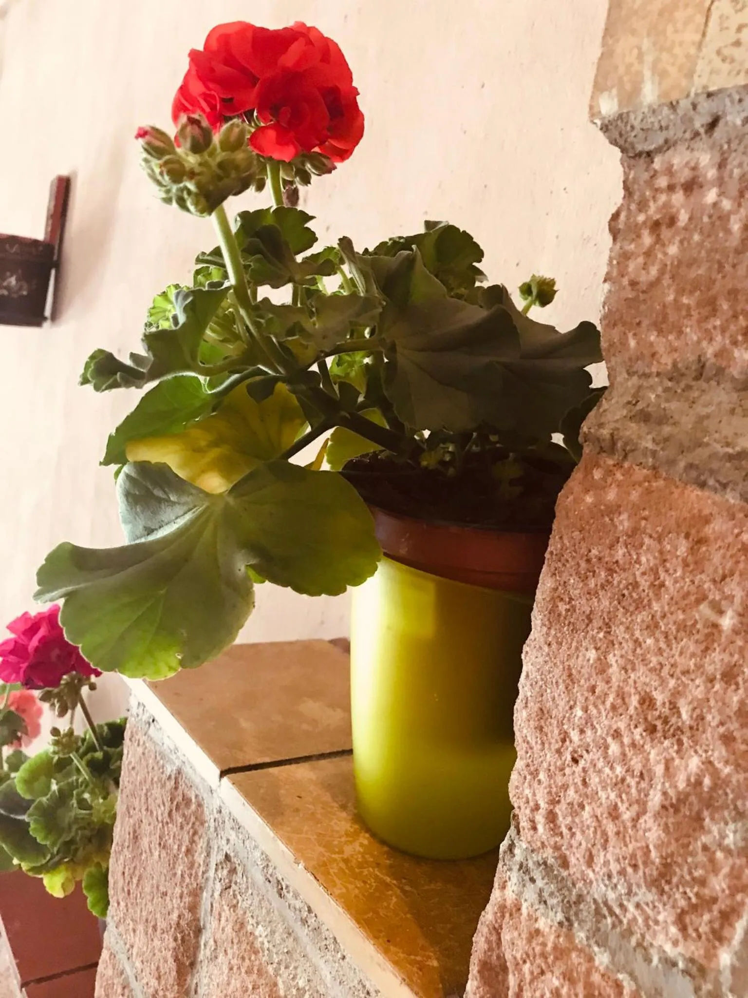 Other in AUX DEUX CIGOGNES AMMERSCHWIHR