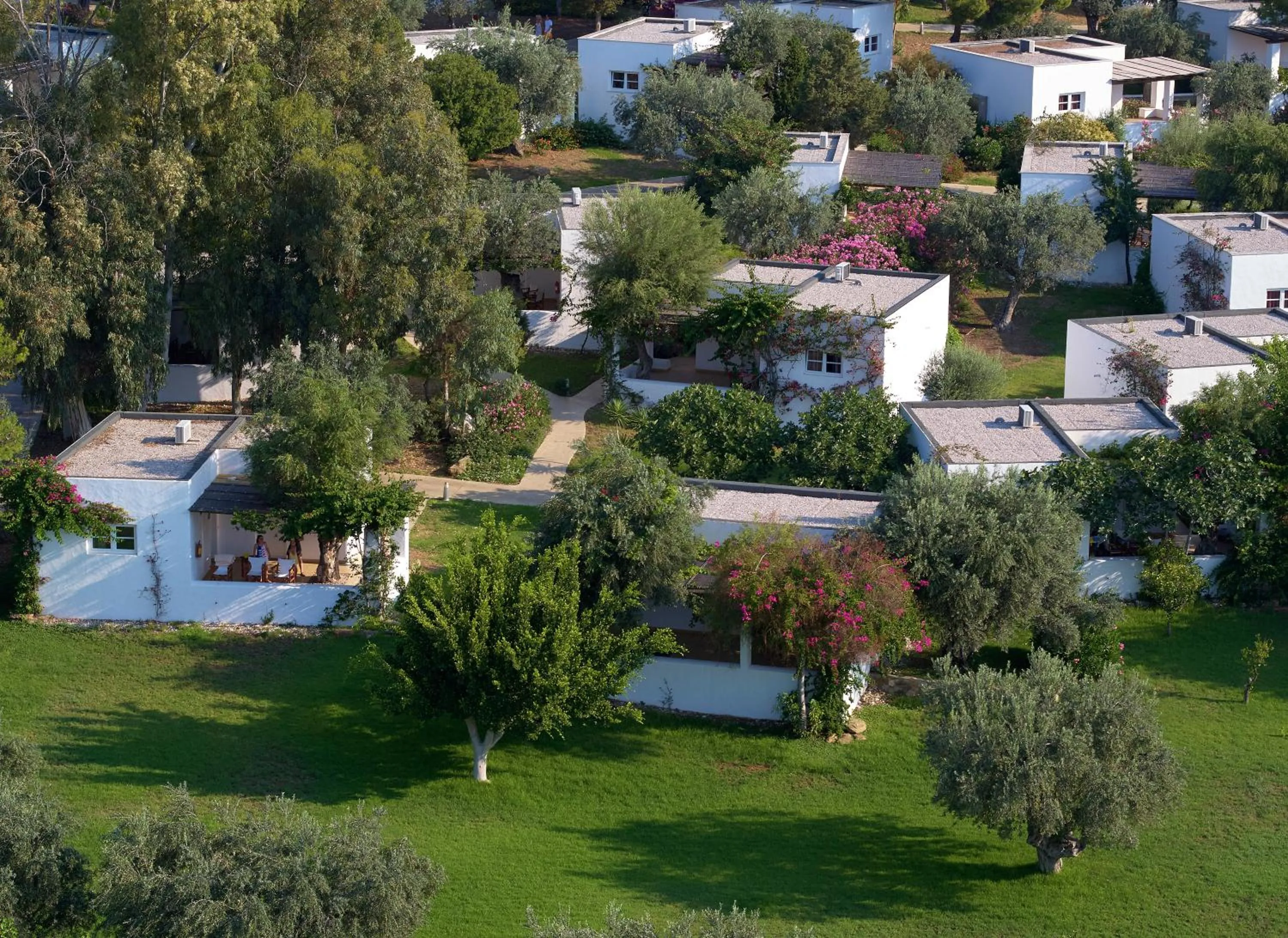 Garden in Hydra Beach Resort