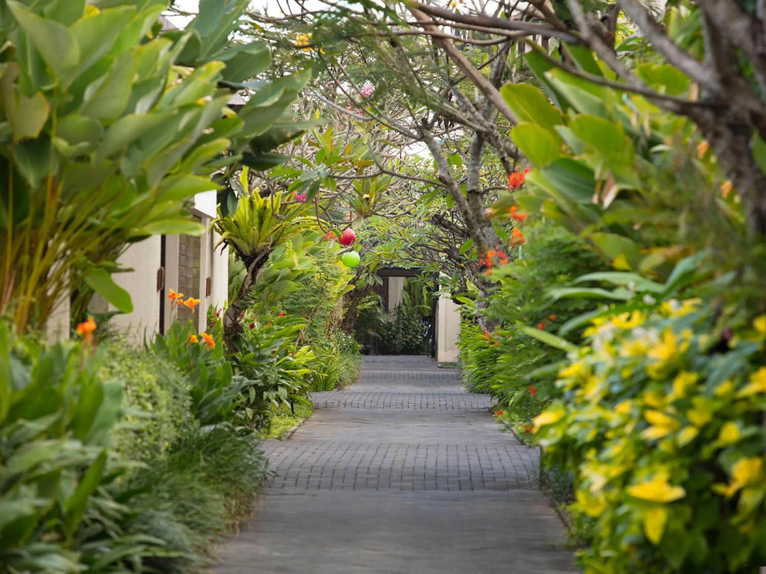 Garden in Berry Amour Romantic Villas