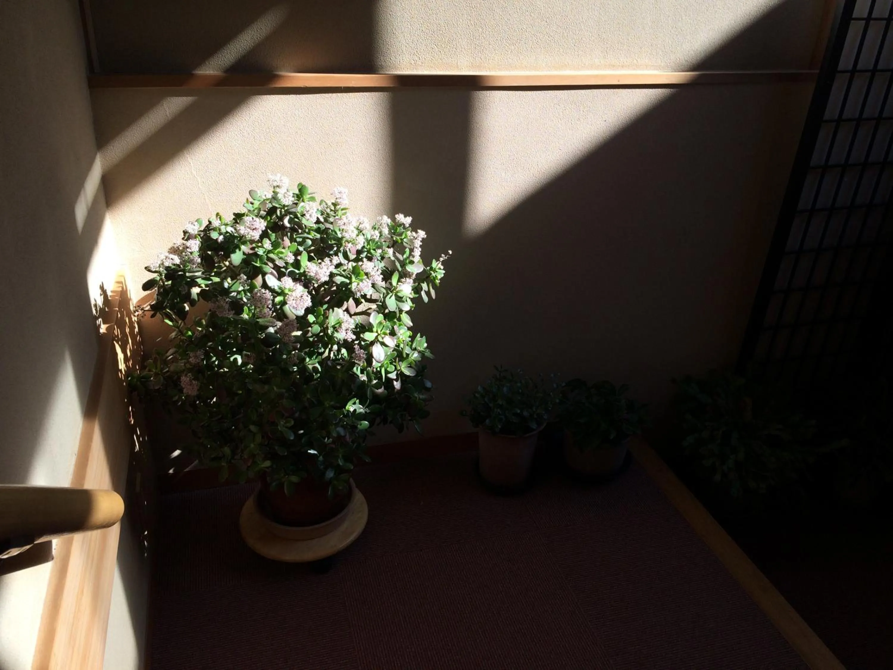 Decorative detail in Yudanaka Onsen Yamazakiya