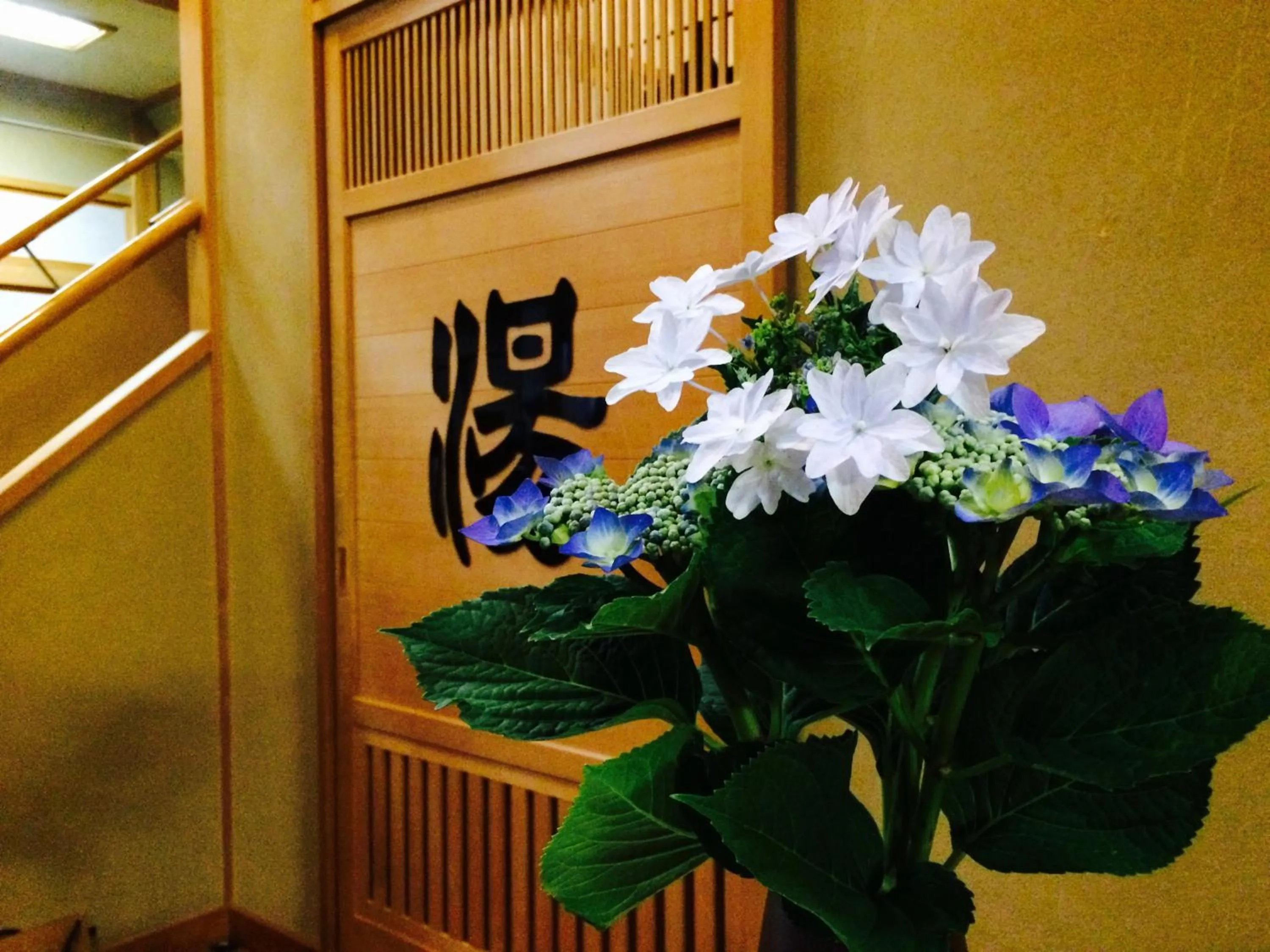 Hot Spring Bath in Yudanaka Onsen Yamazakiya