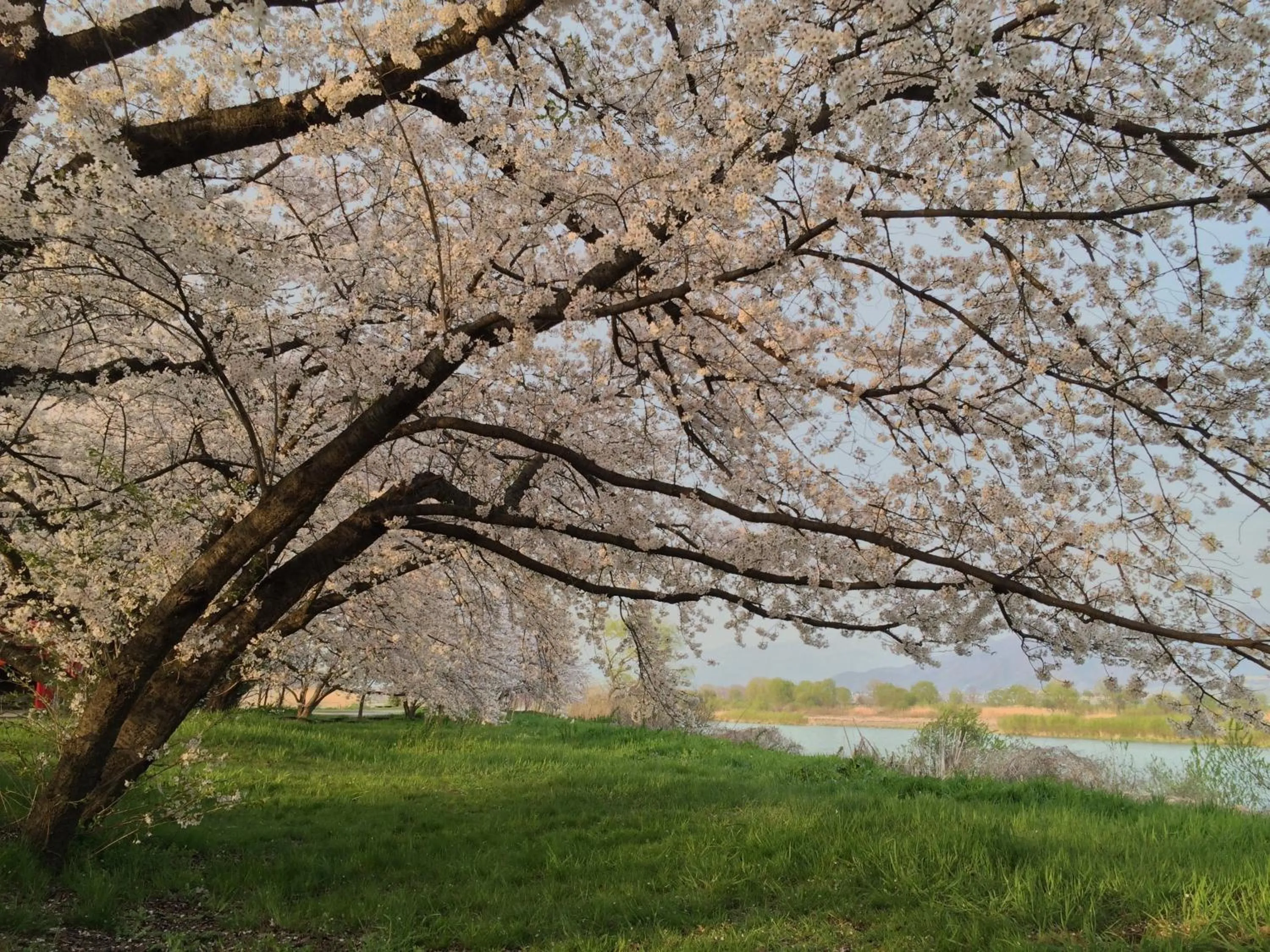 Yudanaka Onsen Yamazakiya