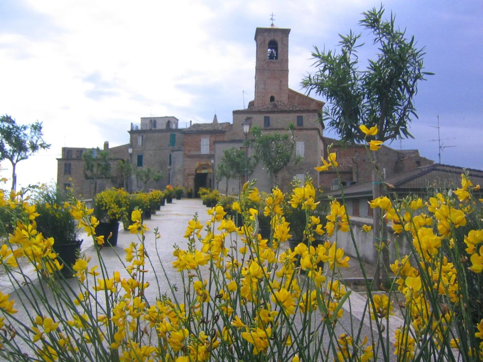Nearby landmark in Hotel Rivamare