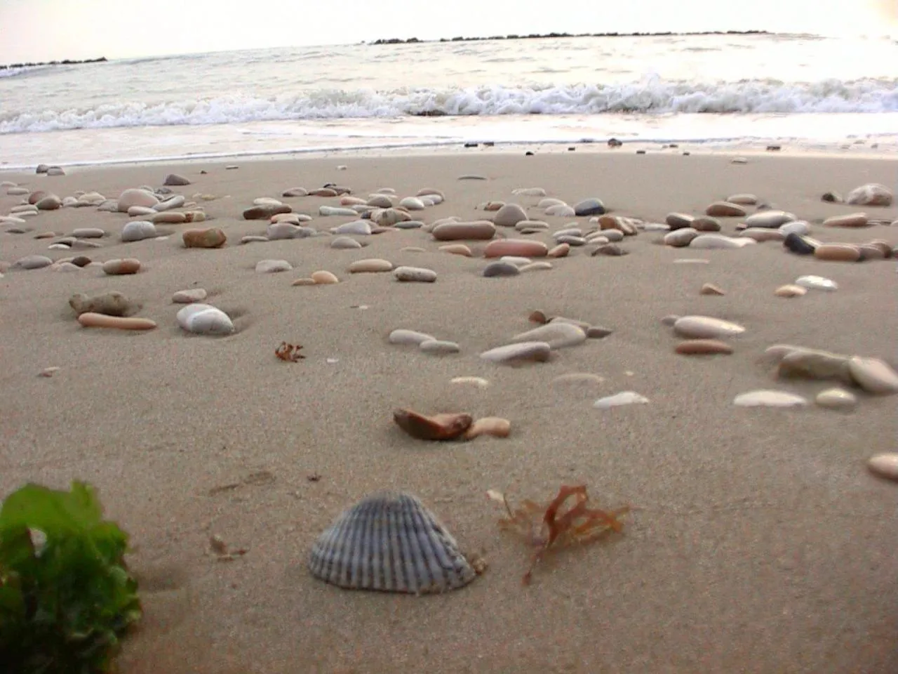 Beach in Hotel Rivamare