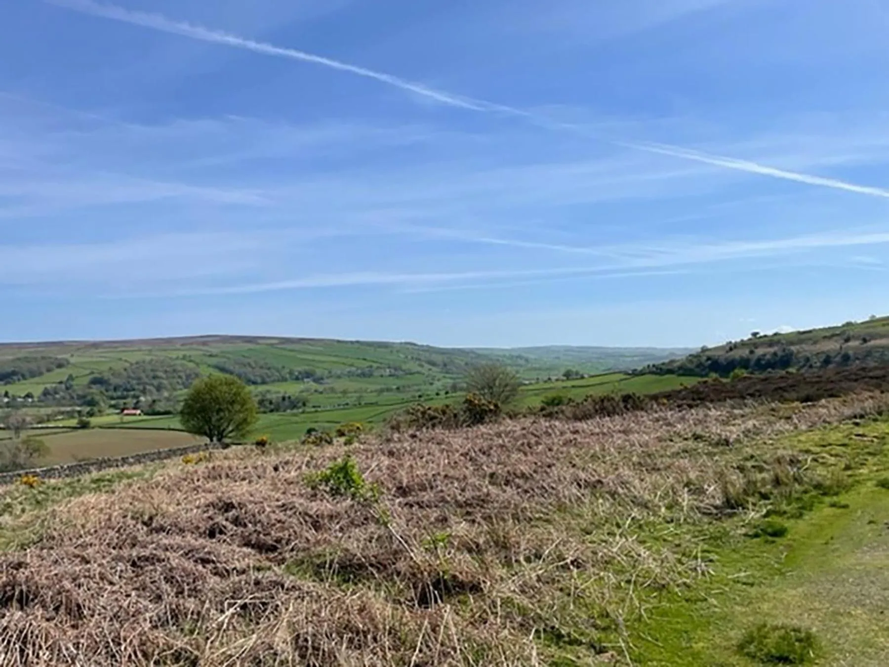 Natural landscape in The Fox & Hounds Inn & Camping Pods