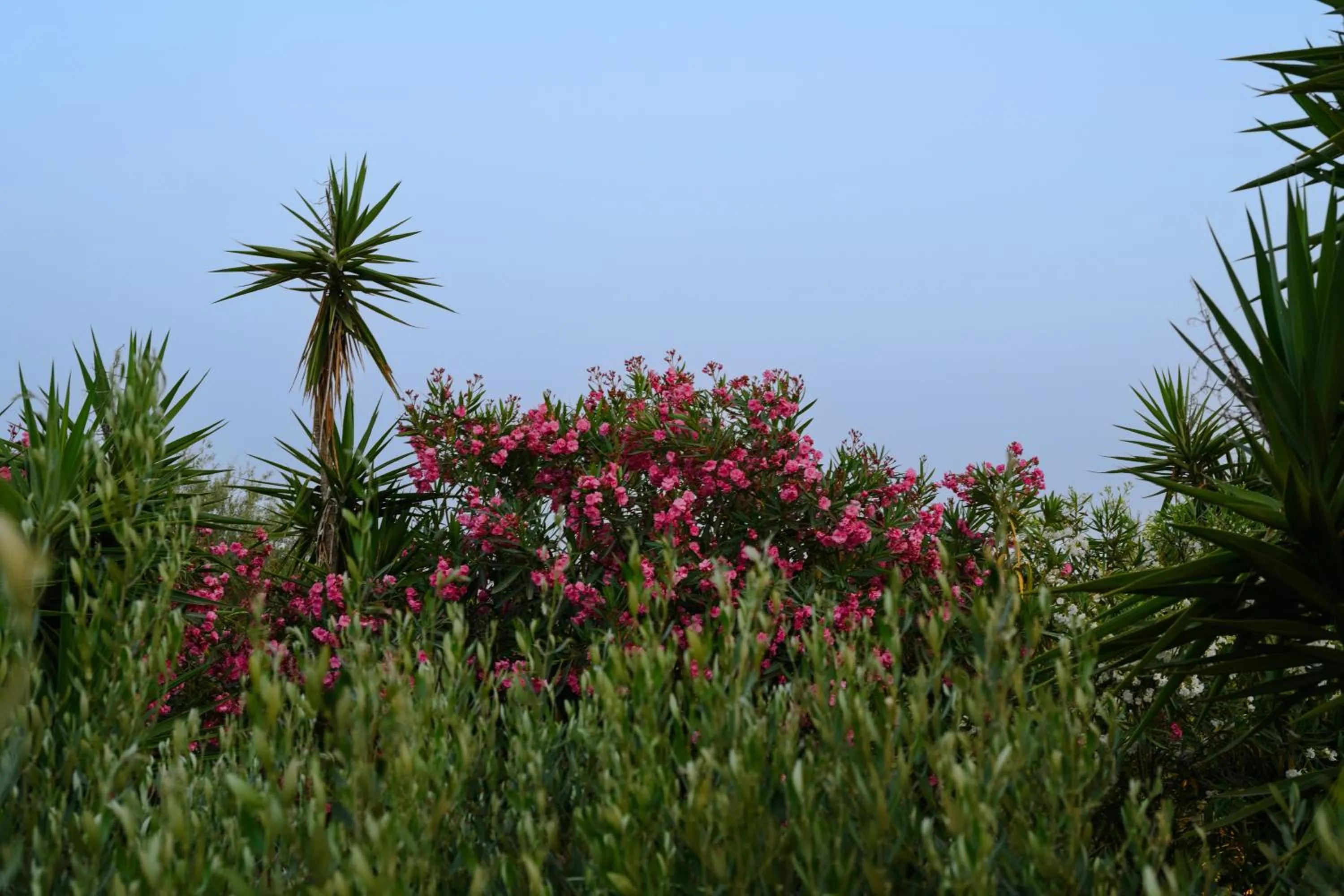 Natural landscape in Erofili Hotel