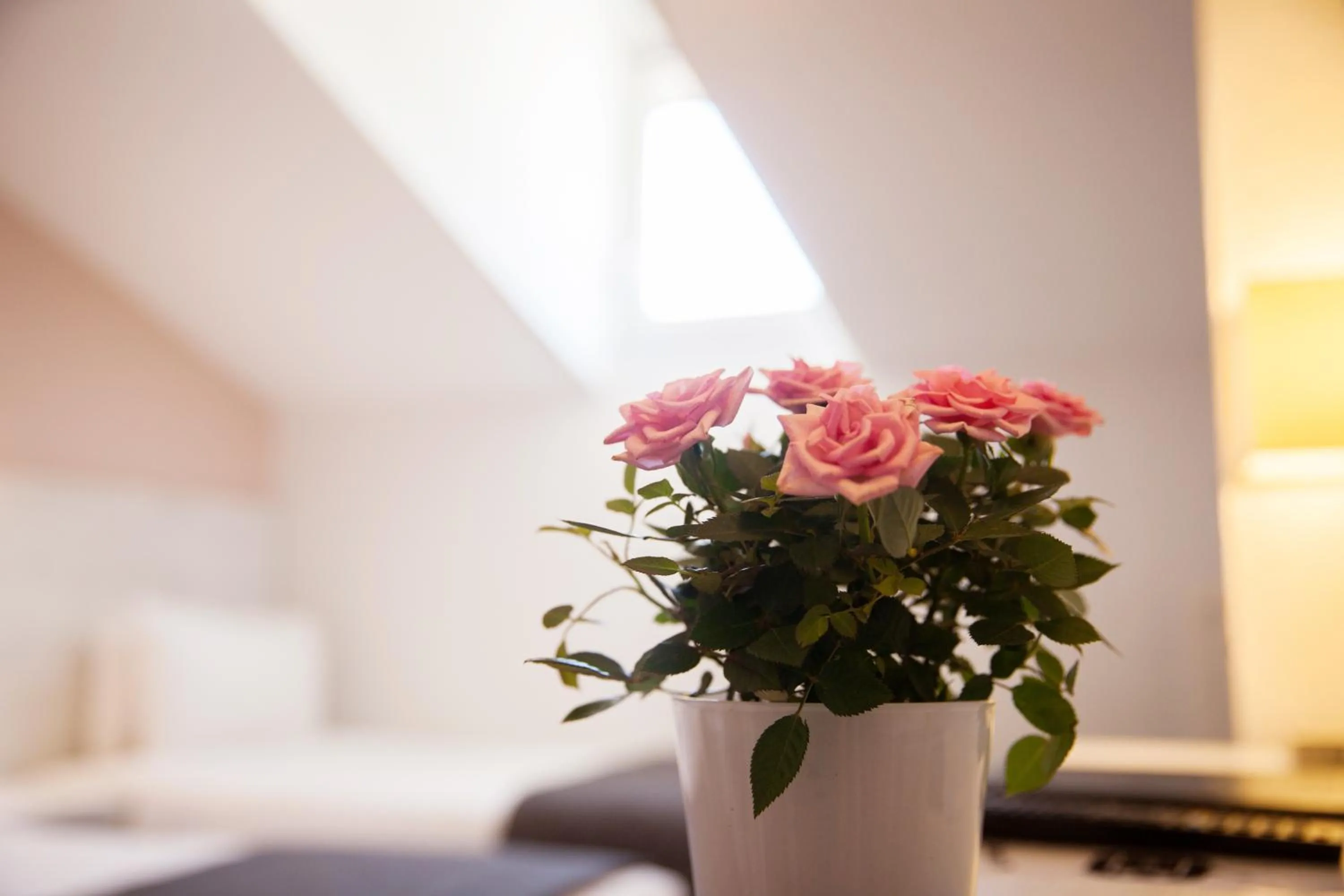 Decorative detail, Bed in Hotel Cannes Croisette