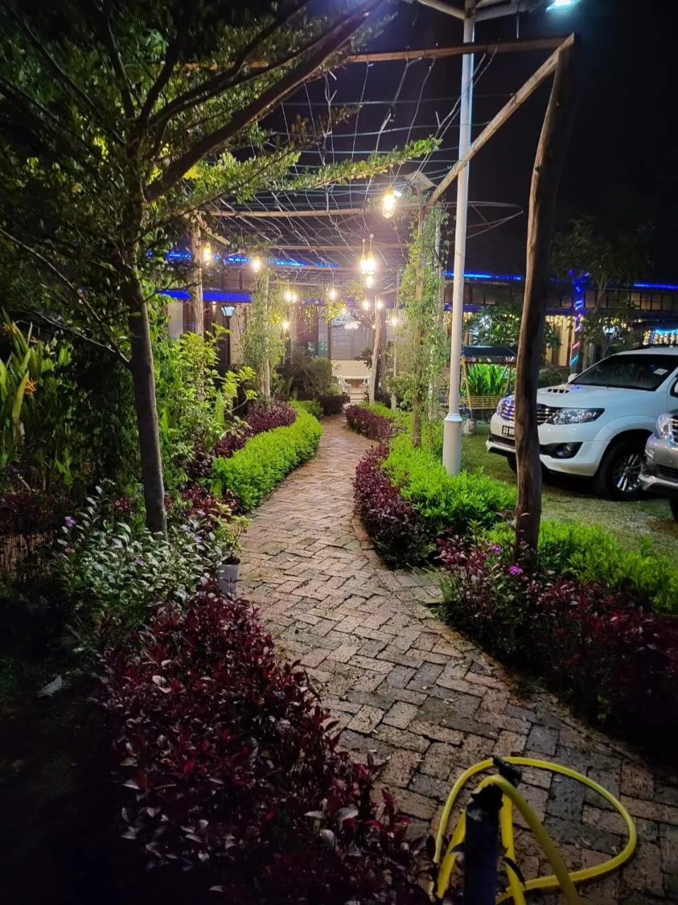 Night in Chan Living