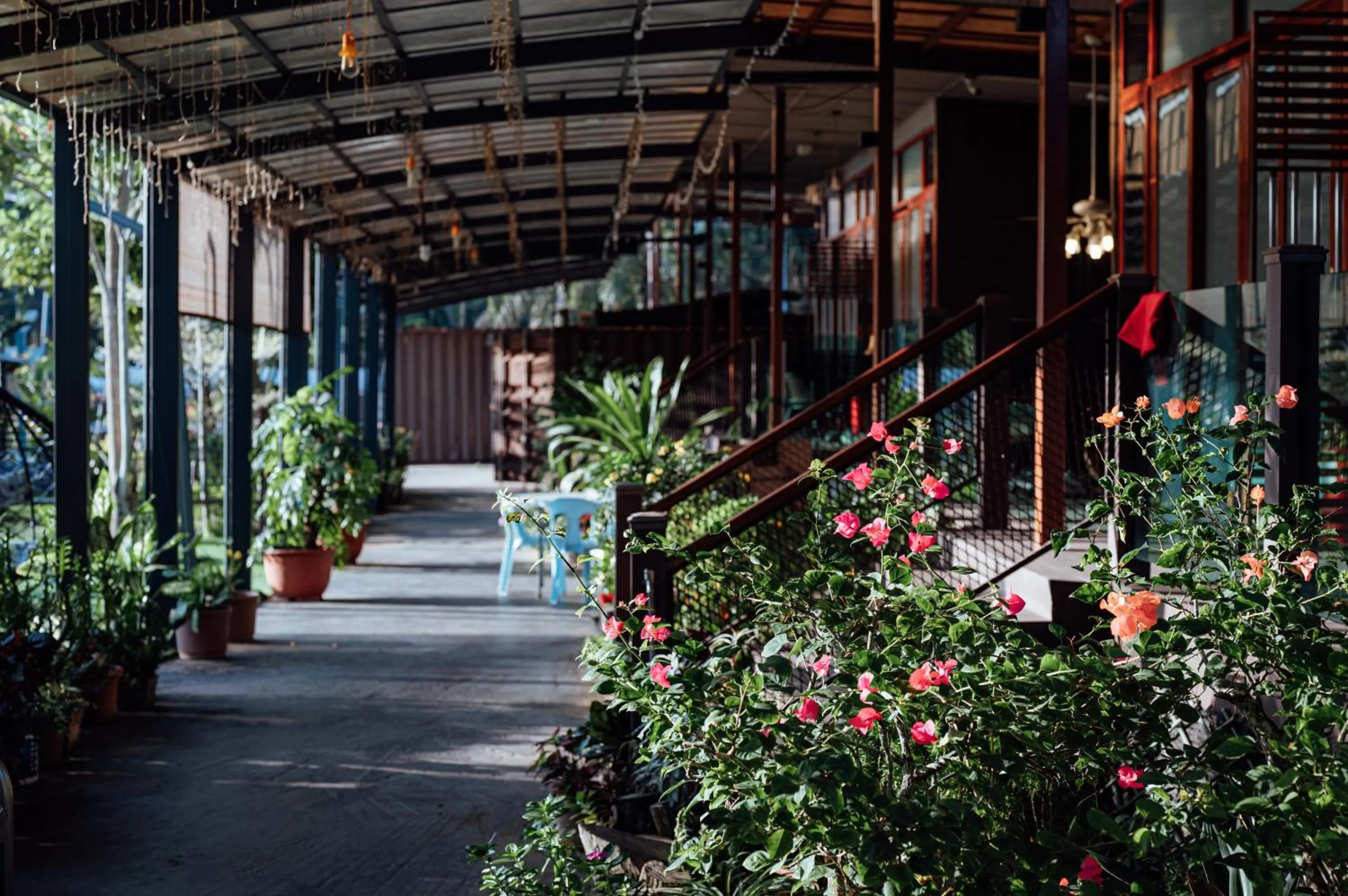 Garden in Chan Living