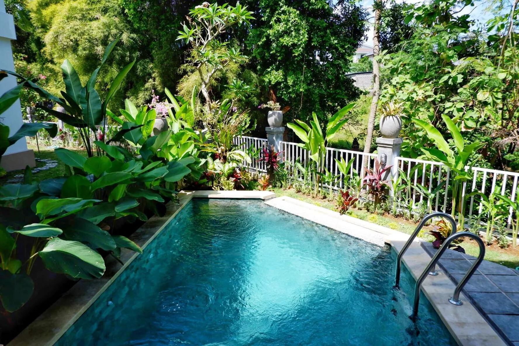 Pool view in The Sloth Bali