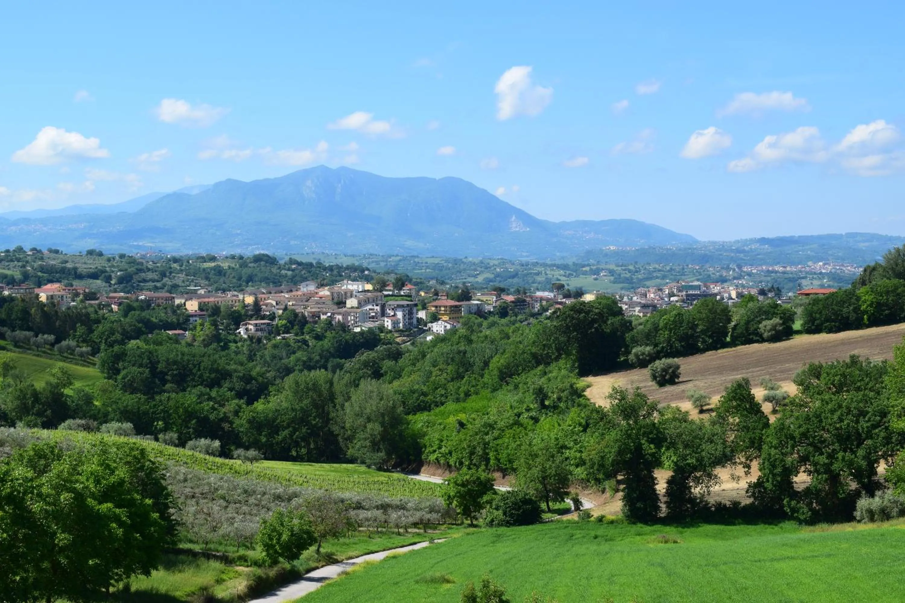 View (from property/room) in Regina Viarum