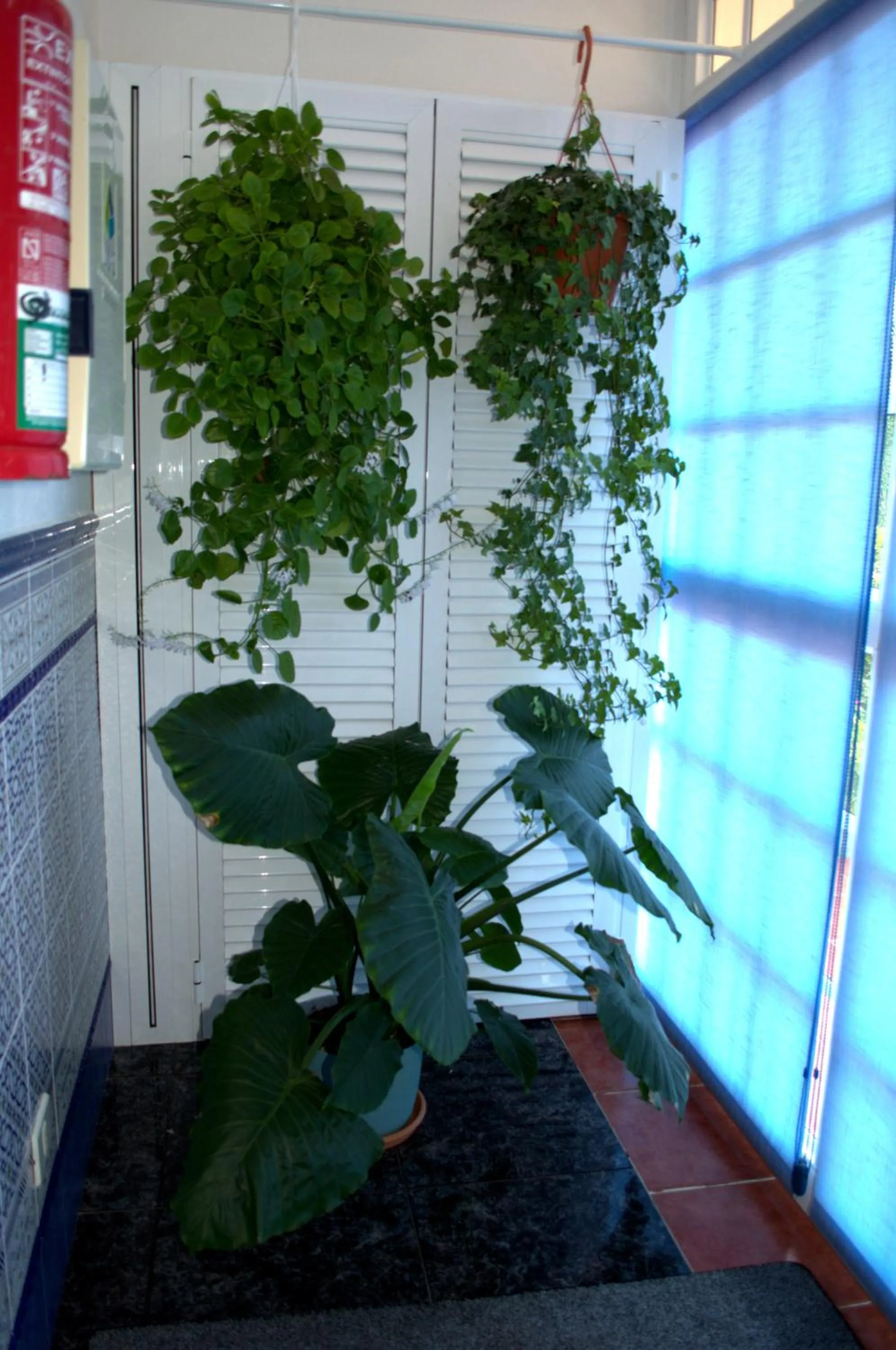 On site in Apartamentos Casa Junonia