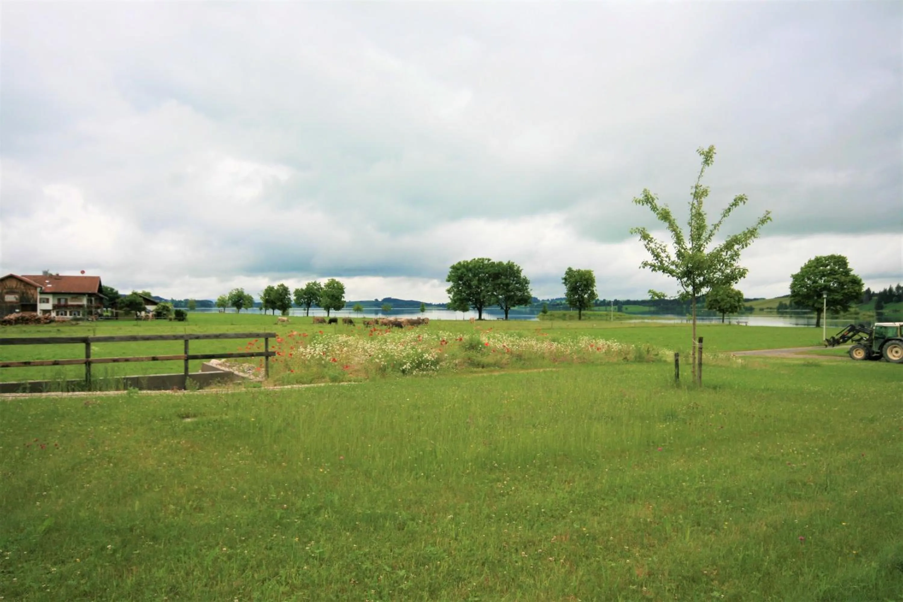 Natural landscape in Ferienwohnung Landliebe
