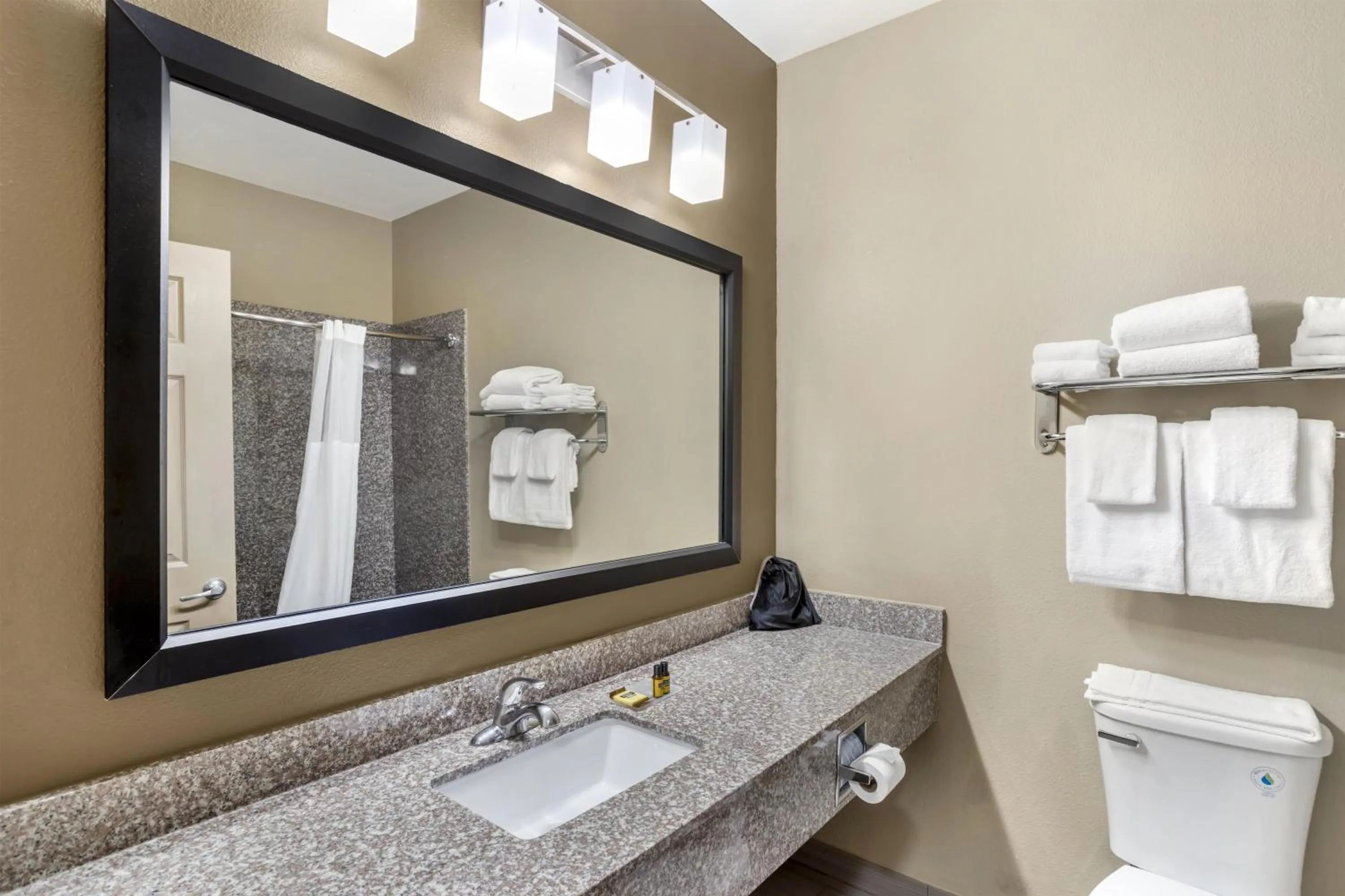 Bathroom in Best Western Plus Heritage Inn & Suites Houston,Pasadena,Deer Park,Channelview