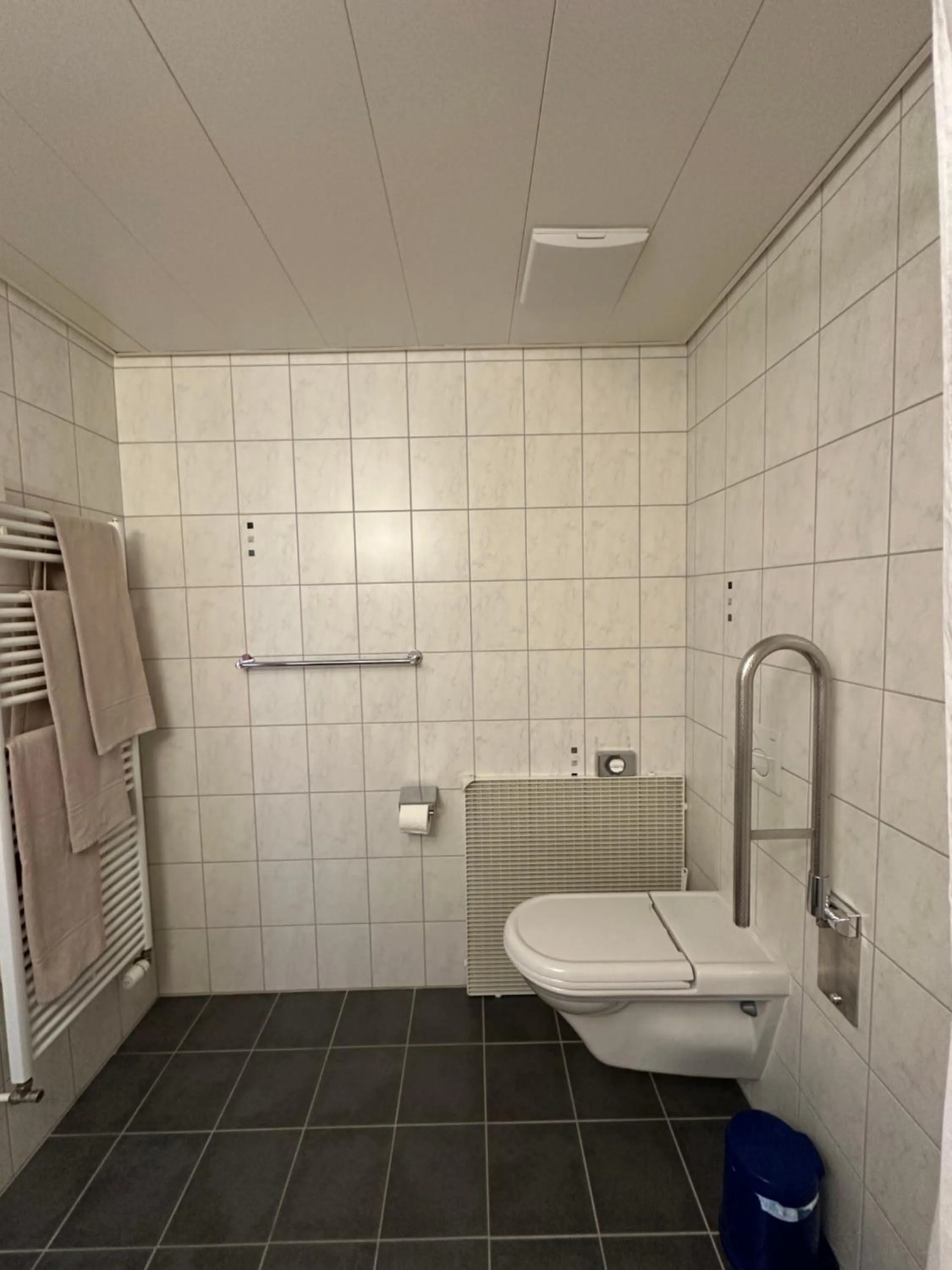 Toilet in Auberge Aux Deux Sapins