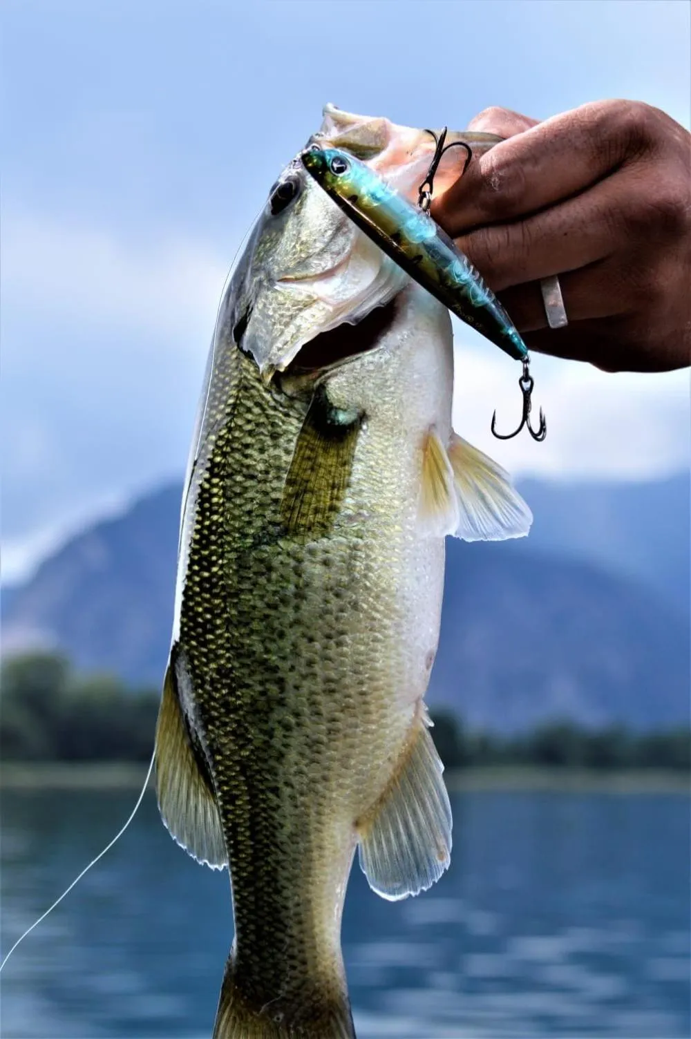 Fishing in Casa della Capra