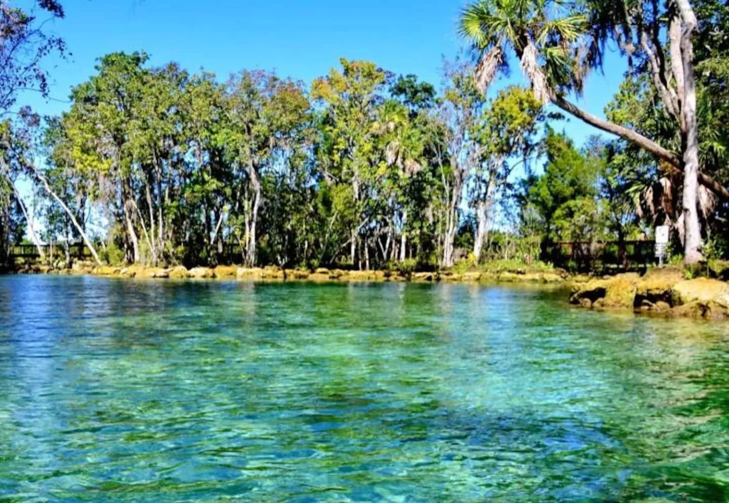 The Nature House a Secluded Waterfront Cabin