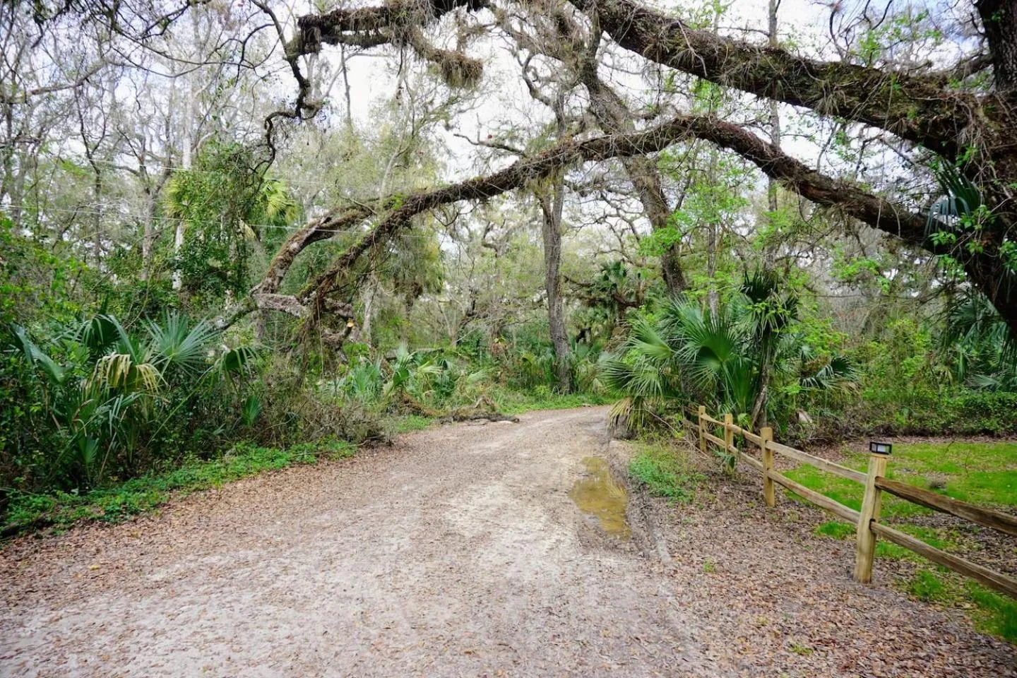 The Nature House a Secluded Waterfront Cabin