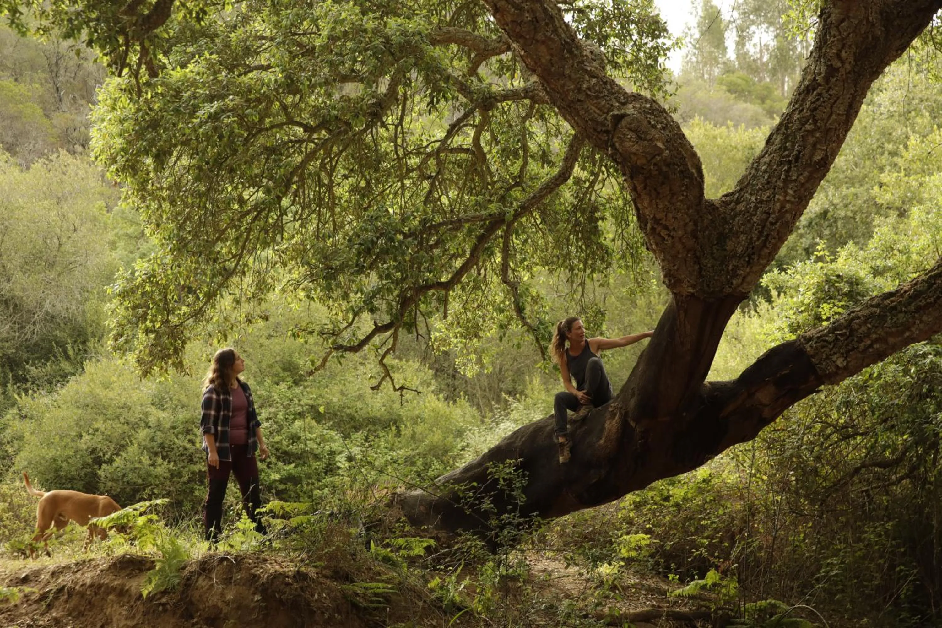 Natural landscape in Herdade da Matinha Country House & Restaurant