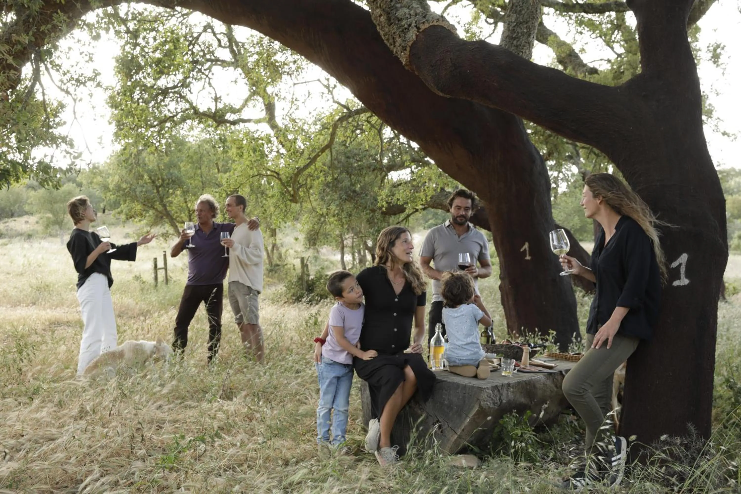 Natural landscape in Herdade da Matinha Country House & Restaurant