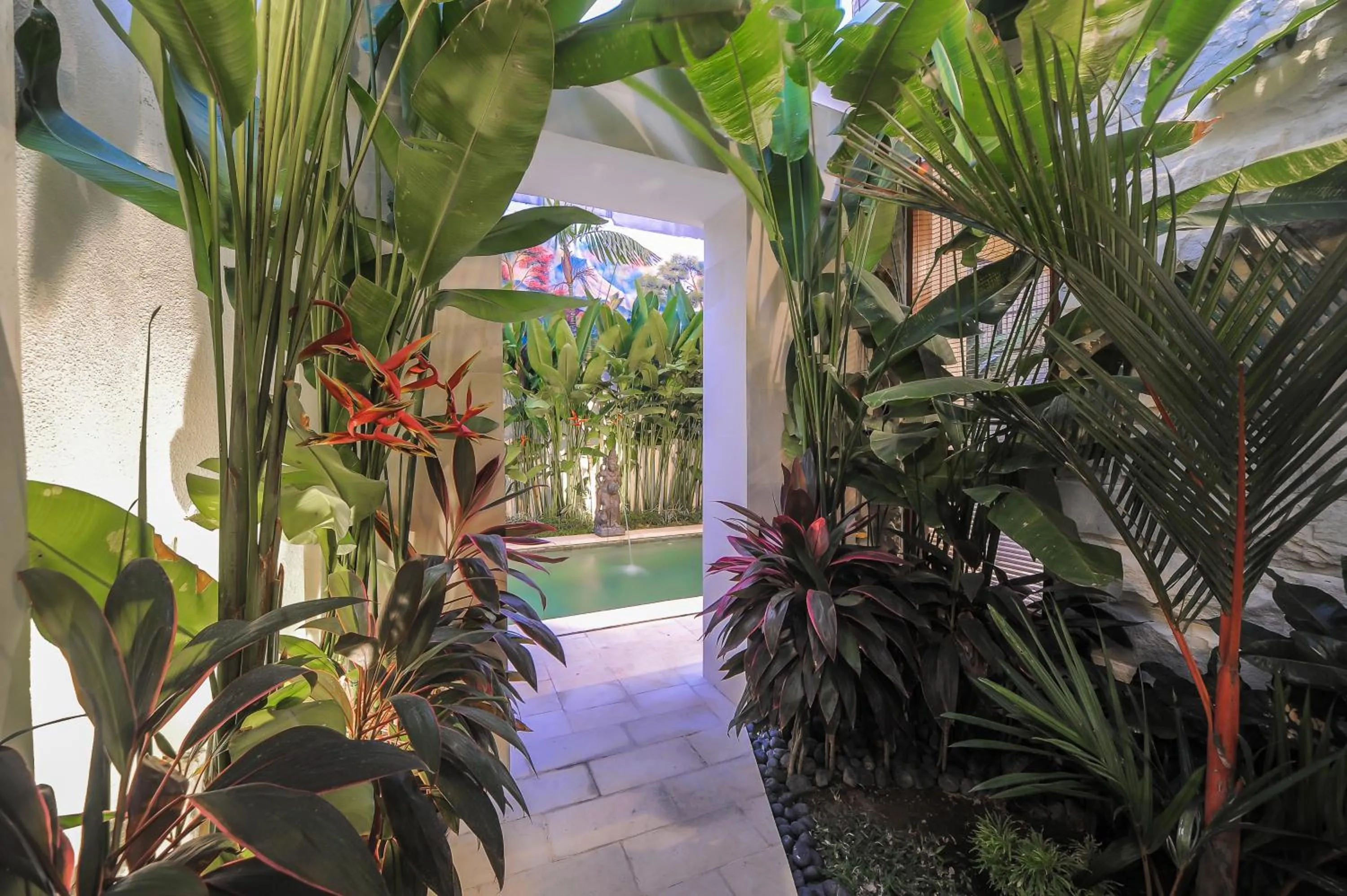 Garden view in Villa COSMO, Seminyak