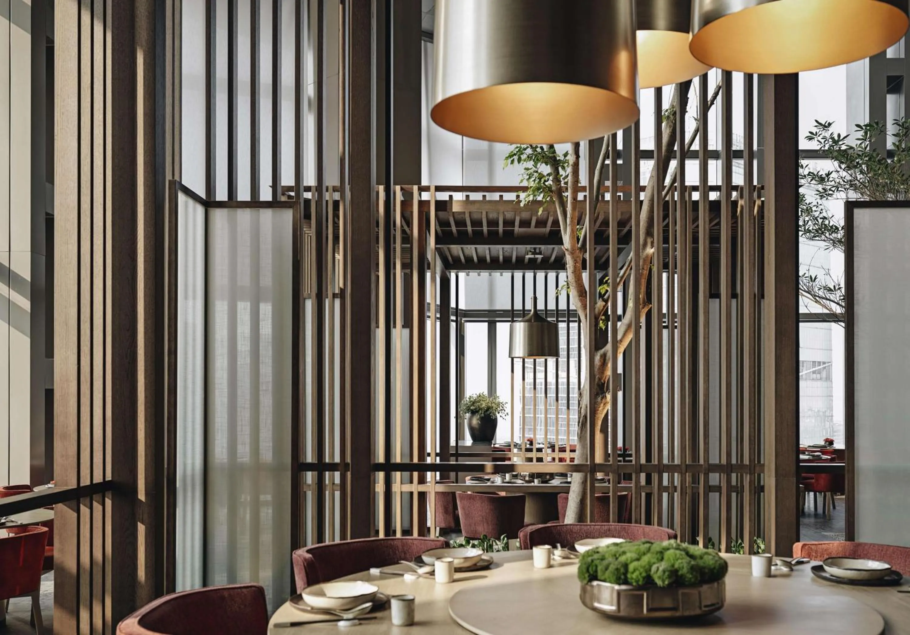 Restaurant/places to eat in Park Hyatt Shenzhen