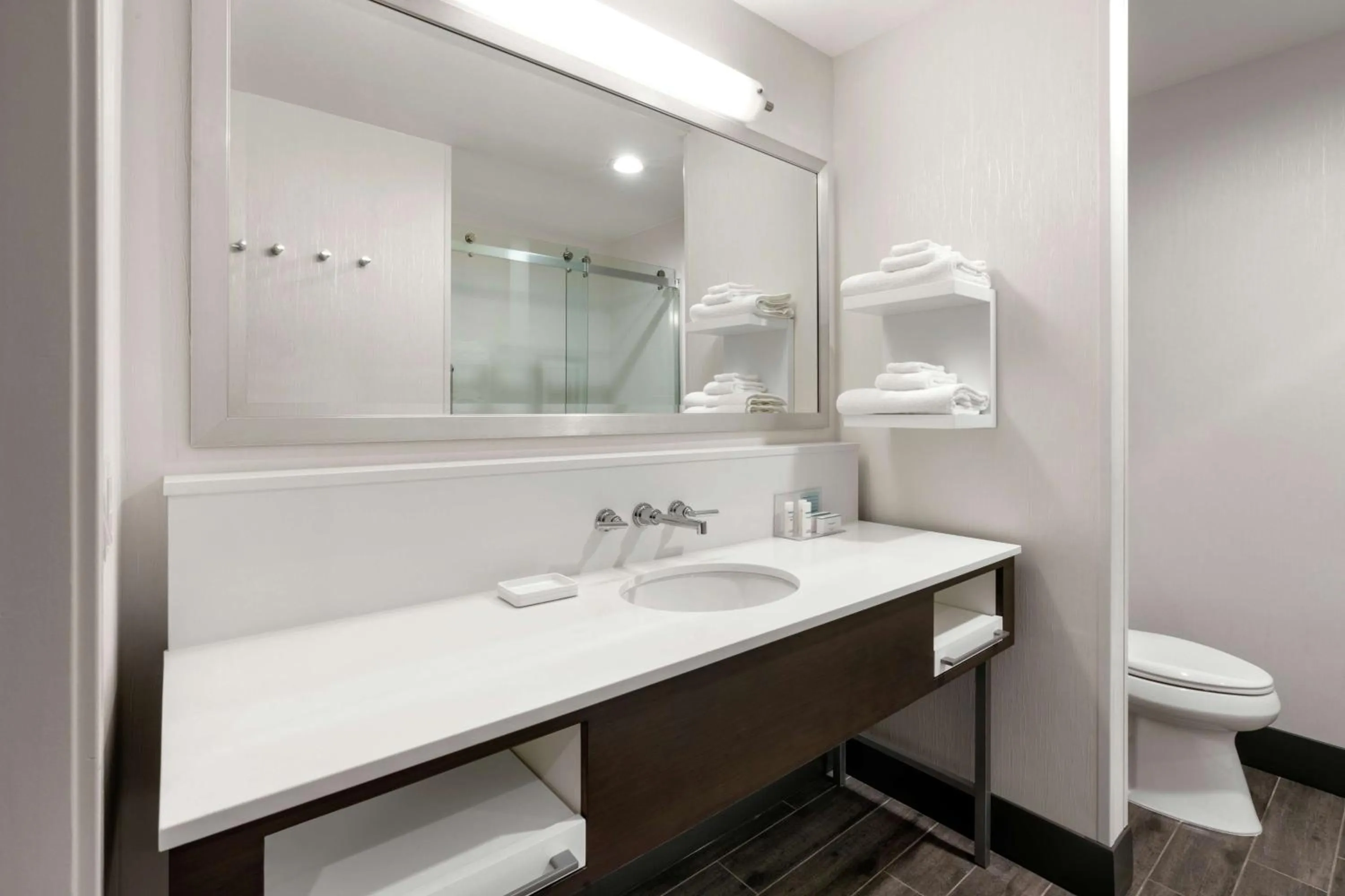 Bathroom in Hampton Inn & Suites Spokane Downtown-South