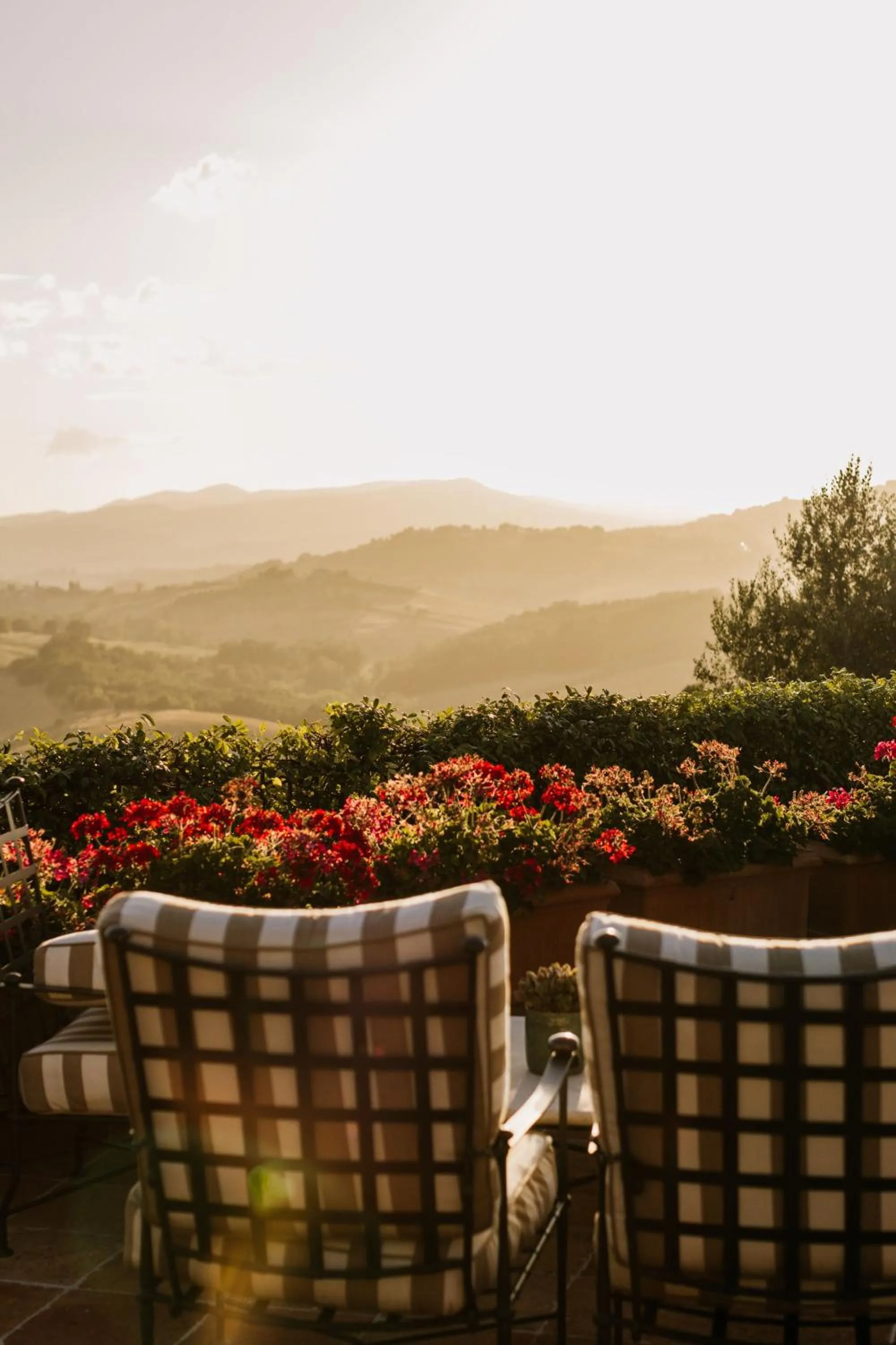 Natural landscape in Castello di Casole, A Belmond Hotel, Tuscany