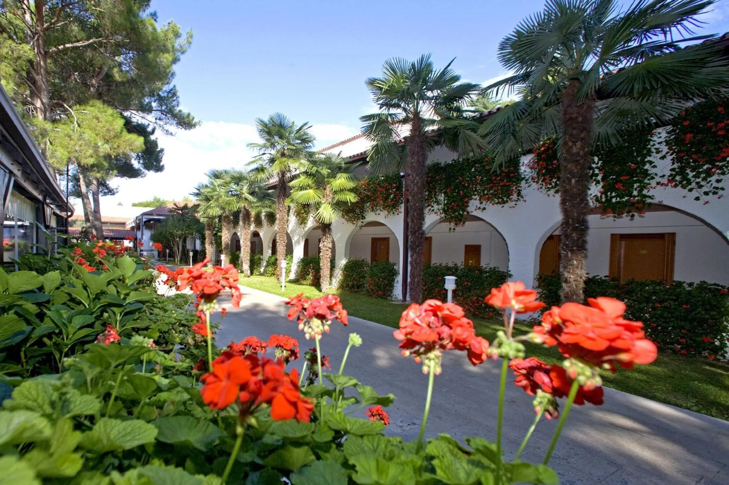 Facade/entrance in Village Galijot Plava Laguna