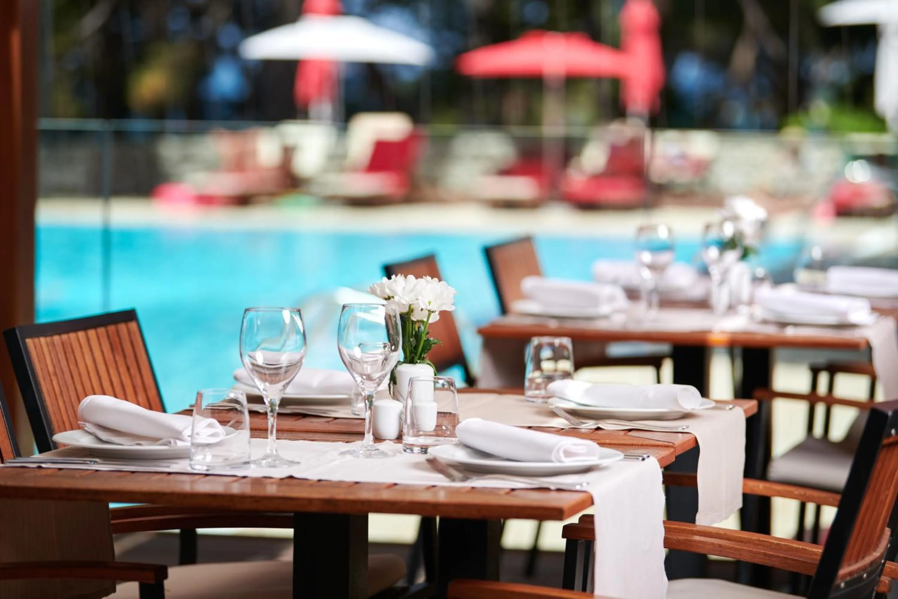 Restaurant/places to eat in Village Galijot Plava Laguna