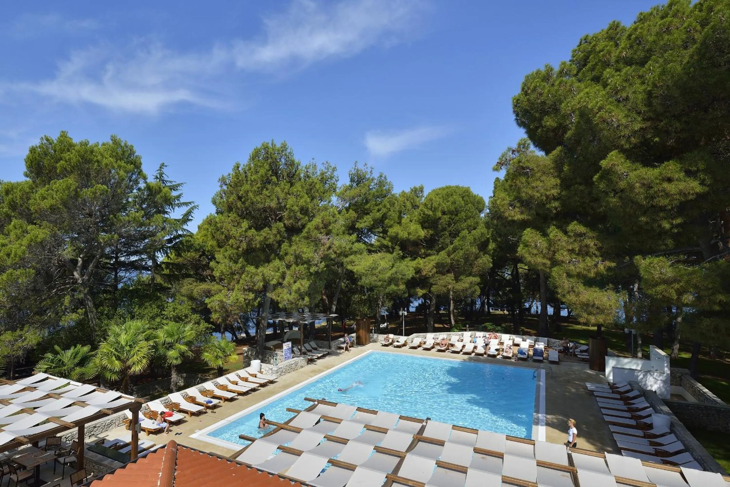 Swimming pool in Villa Galijot Plava Laguna