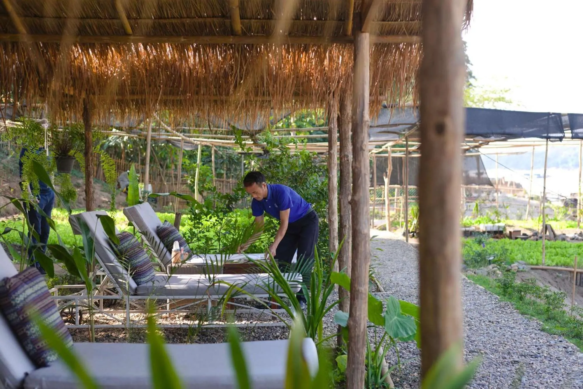 sunbed in The Belle Rive Boutique Hotel