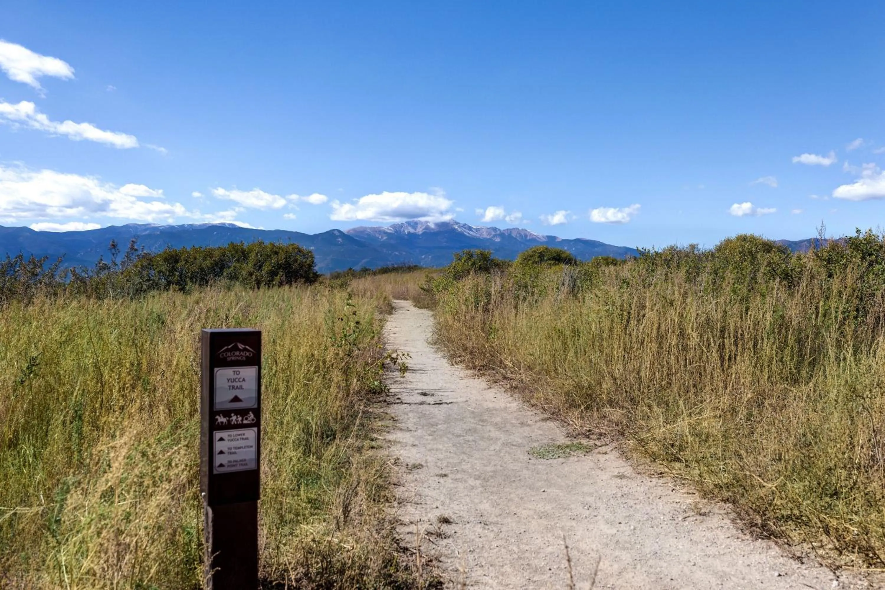 Area and facilities in Fairfield Inn & Suites by Marriott Colorado Springs East