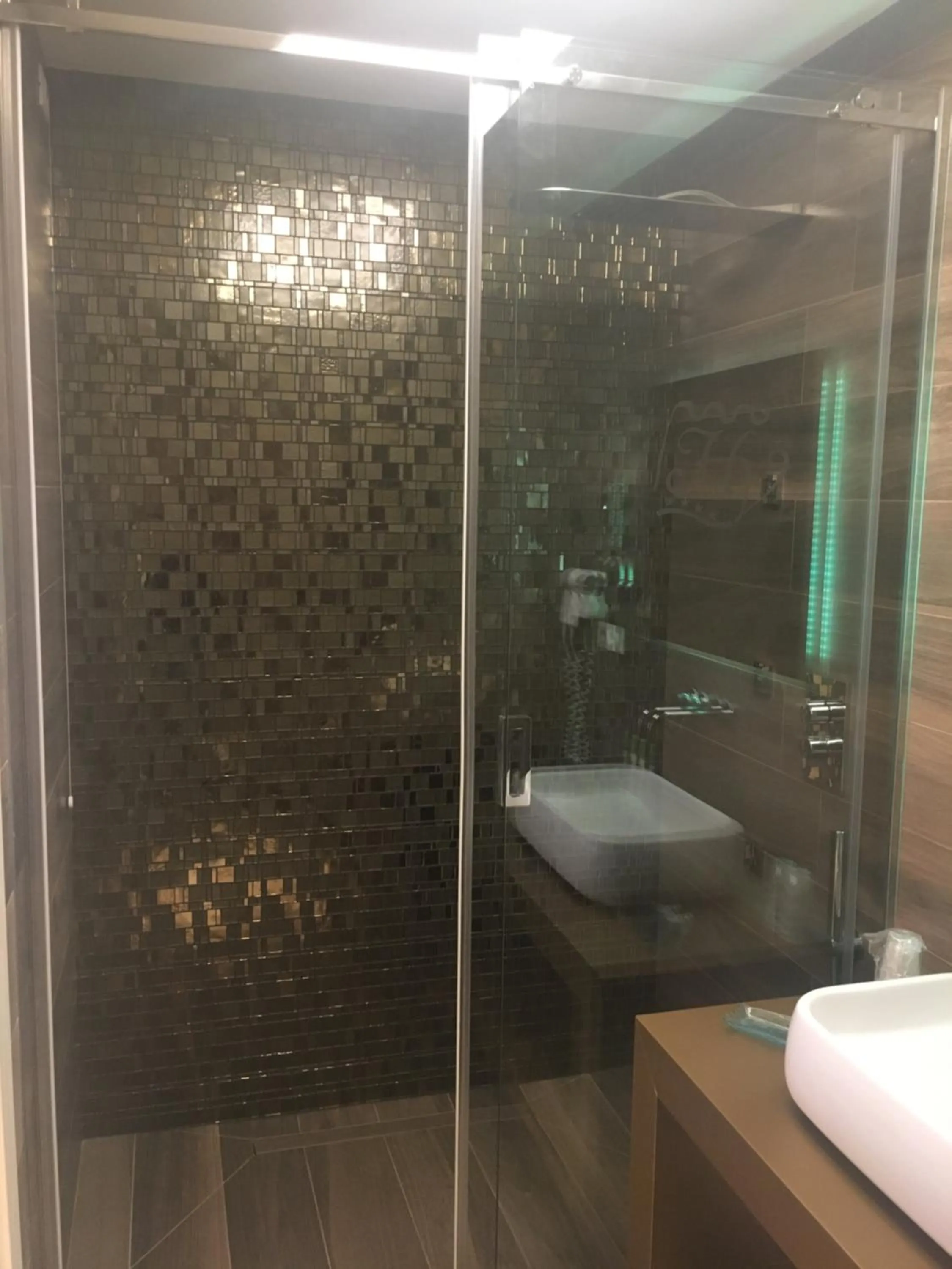 Shower in Hotel Victoria