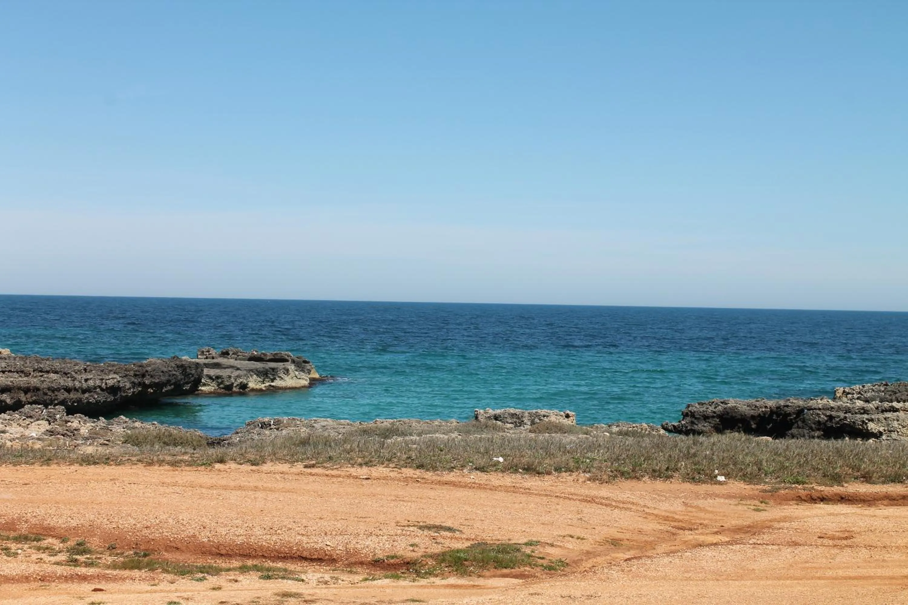 Natural landscape in Hotel Victoria