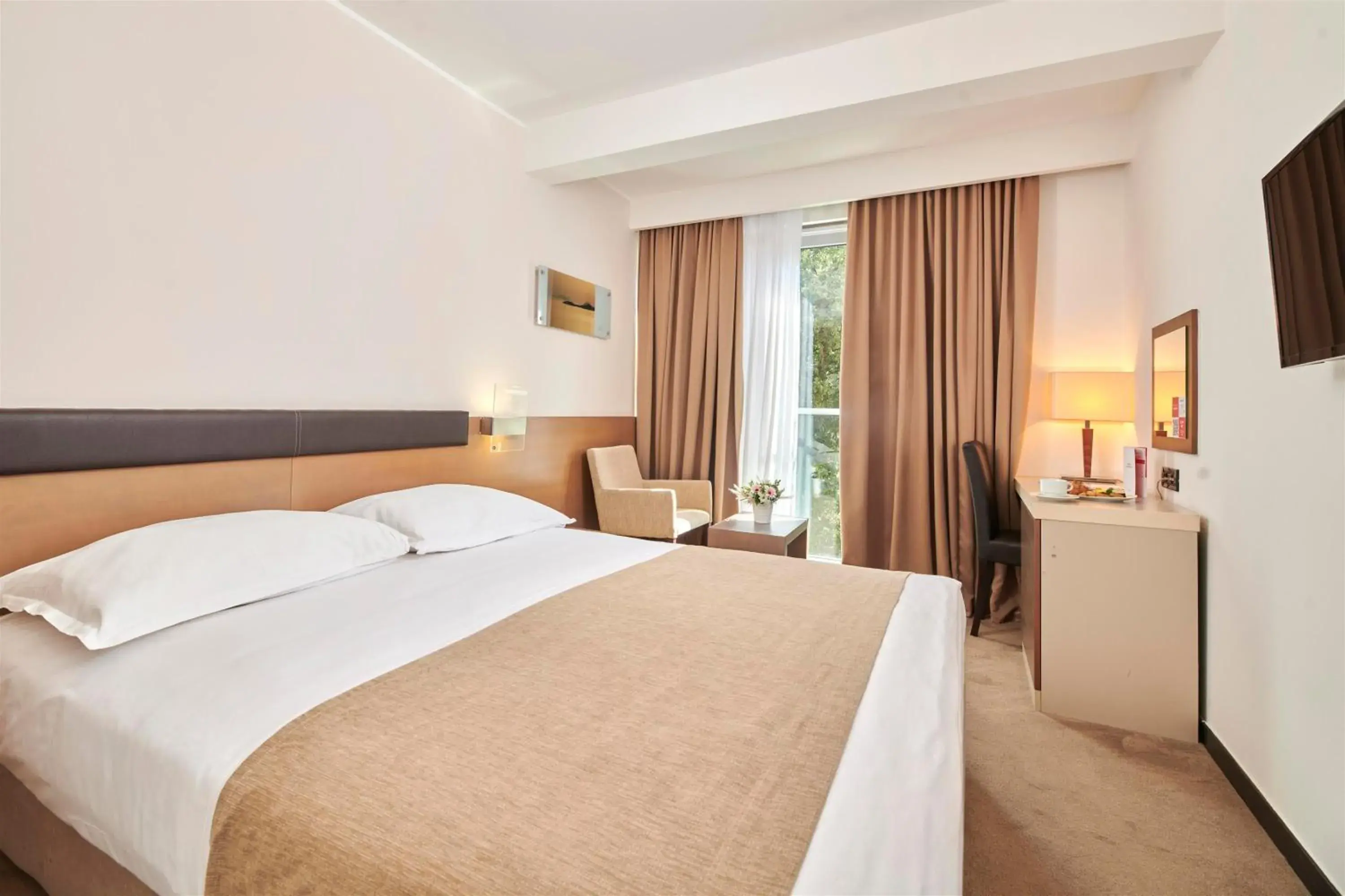 Economy Room in Hotel Molindrio Plava Laguna Economy Room in Hotel Molindrio Plava Laguna