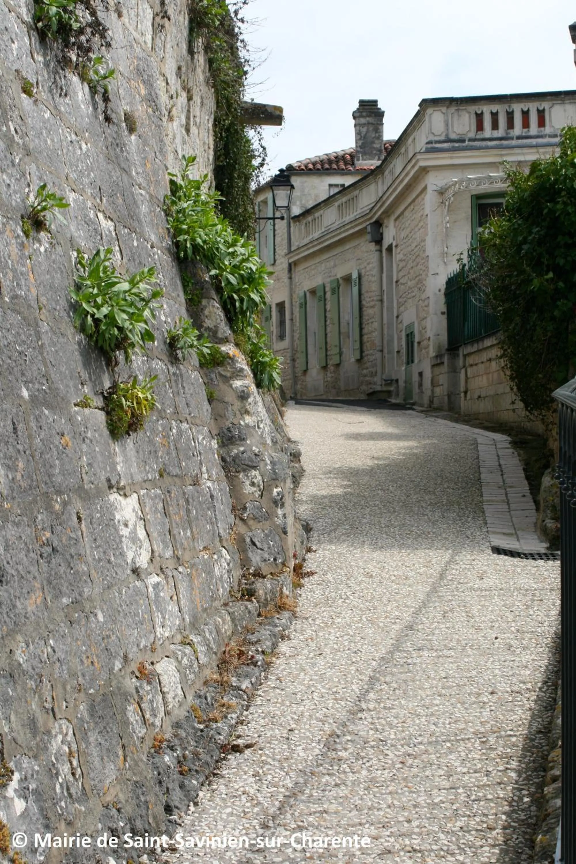 Off site in Logis Hôtel & Restaurant Le Saint Savinien