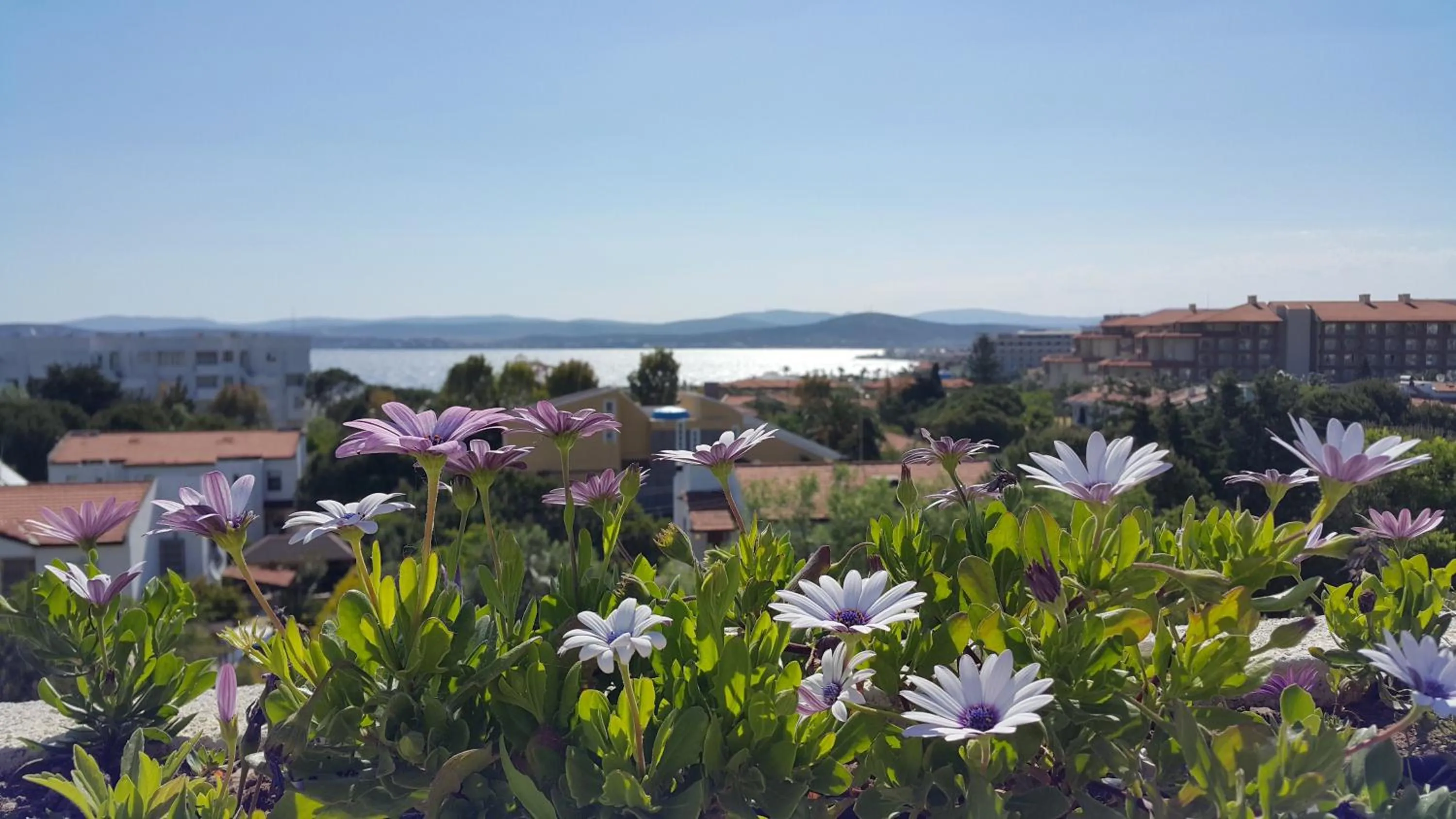 Balcony/Terrace in Arinnanda Hotel Cesme