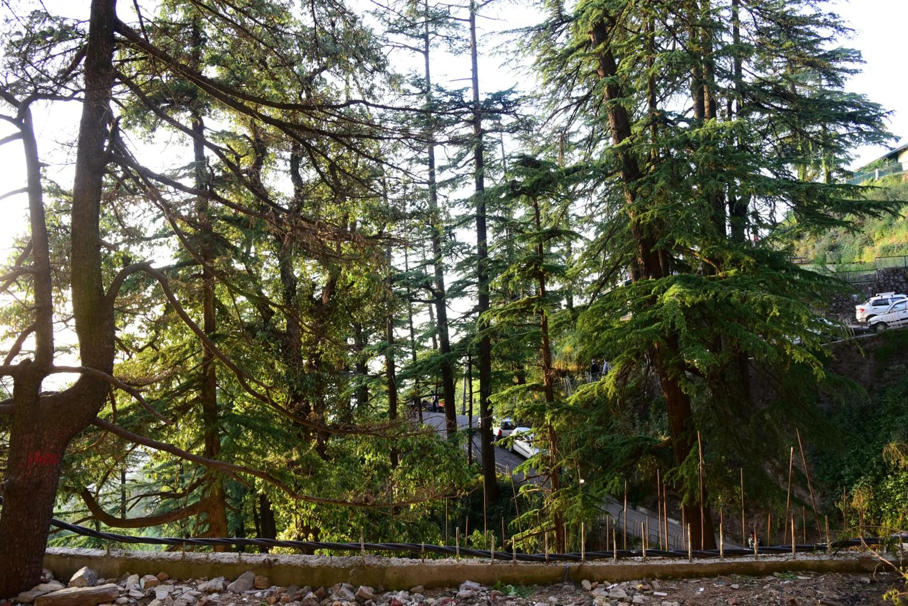 Natural landscape in Royale Retreat Hotel & Spa Near Mall Road