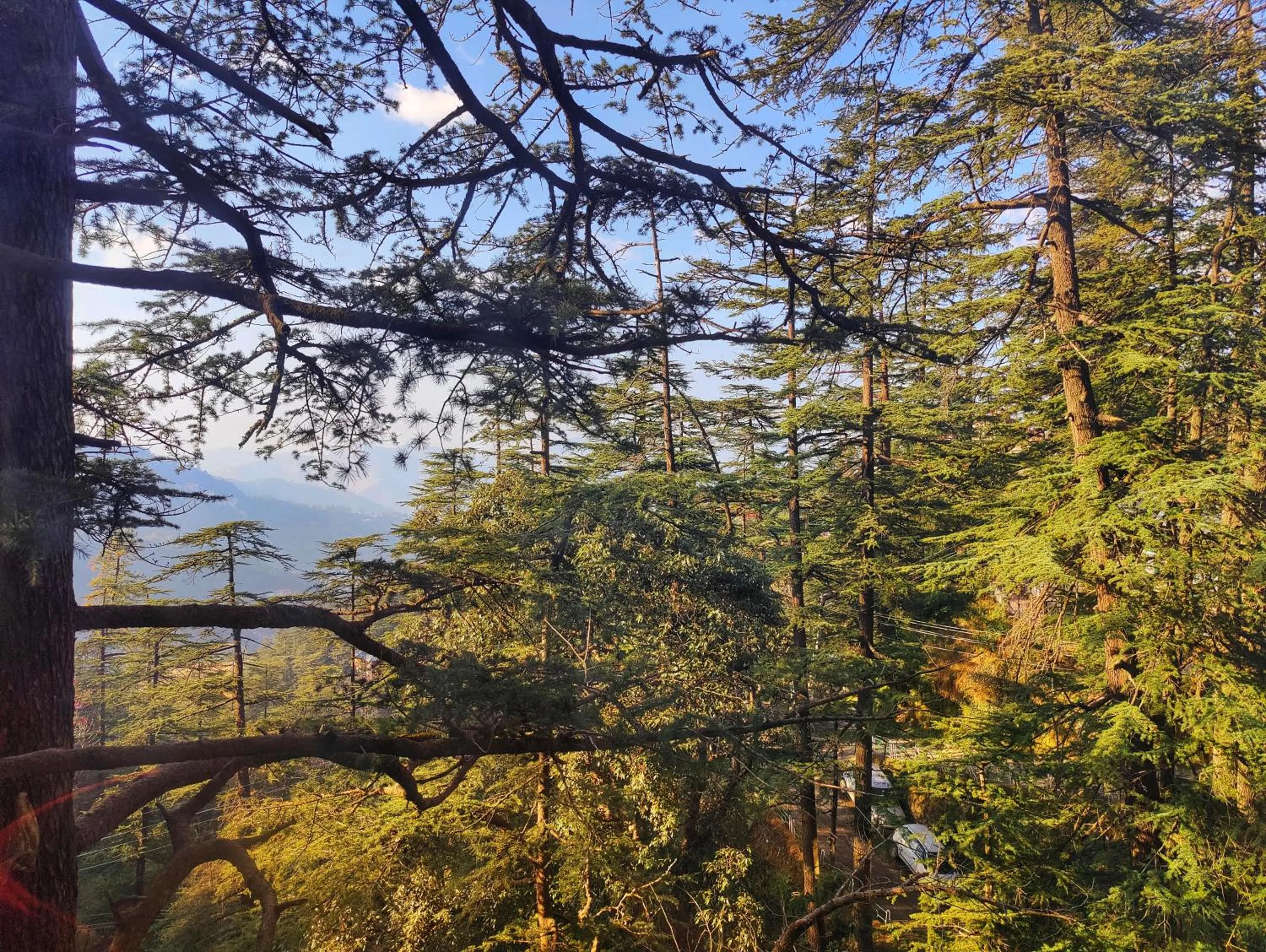 View (from property/room) in Royale Retreat Hotel & Spa Near Mall Road