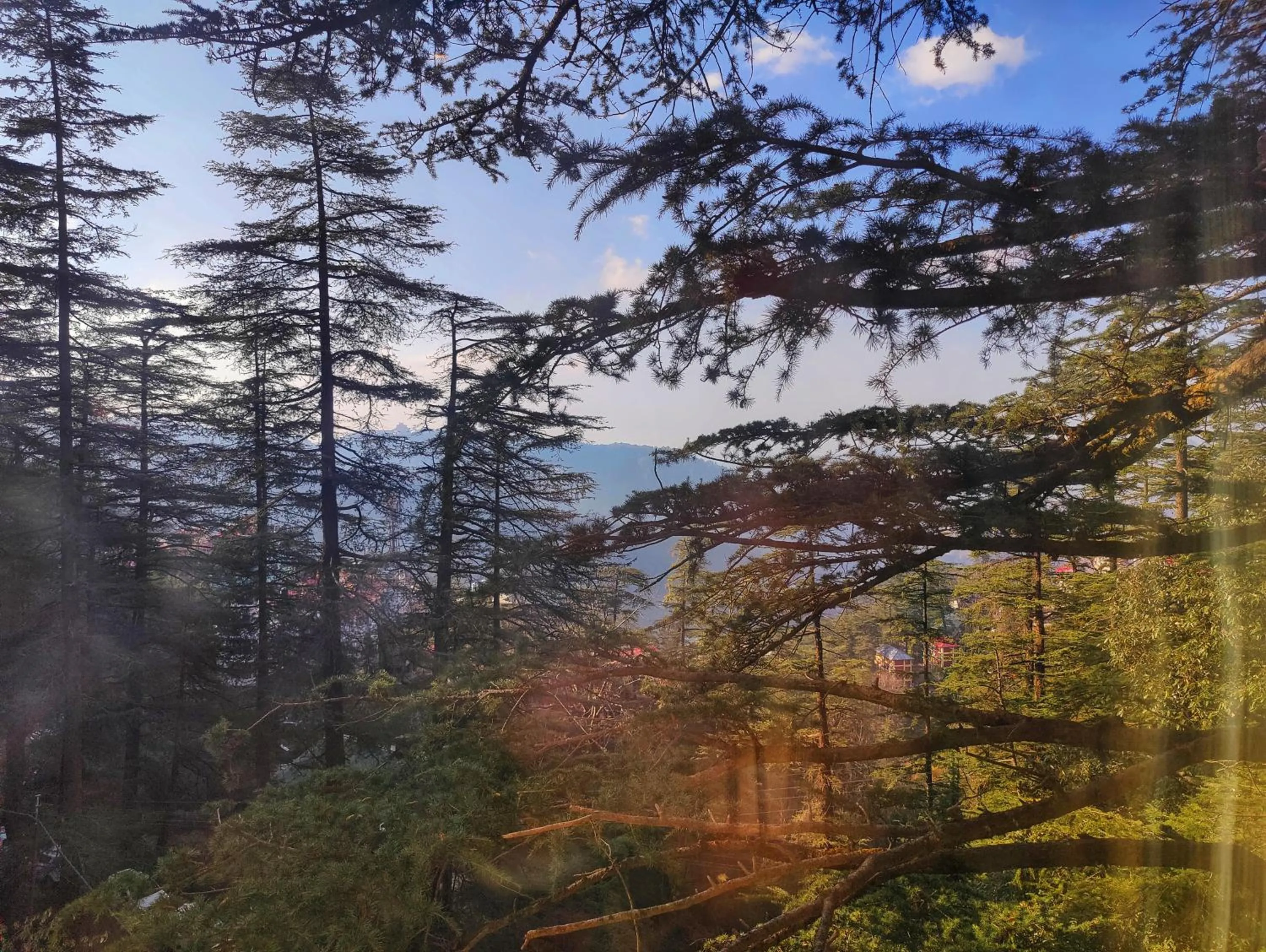 View (from property/room) in Royale Retreat Hotel & Spa Near Mall Road