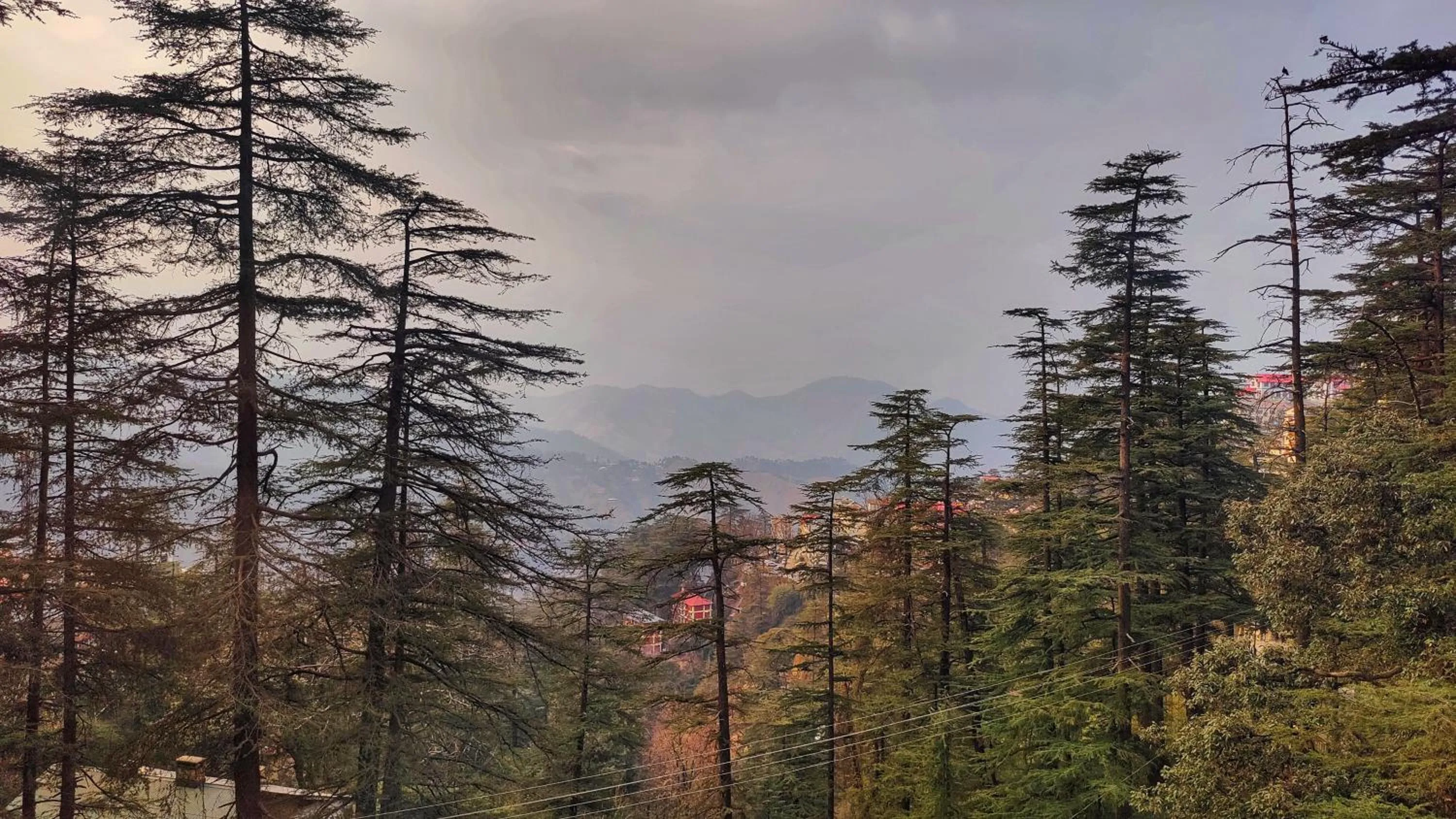 View (from property/room) in Royale Retreat Hotel & Spa Near Mall Road