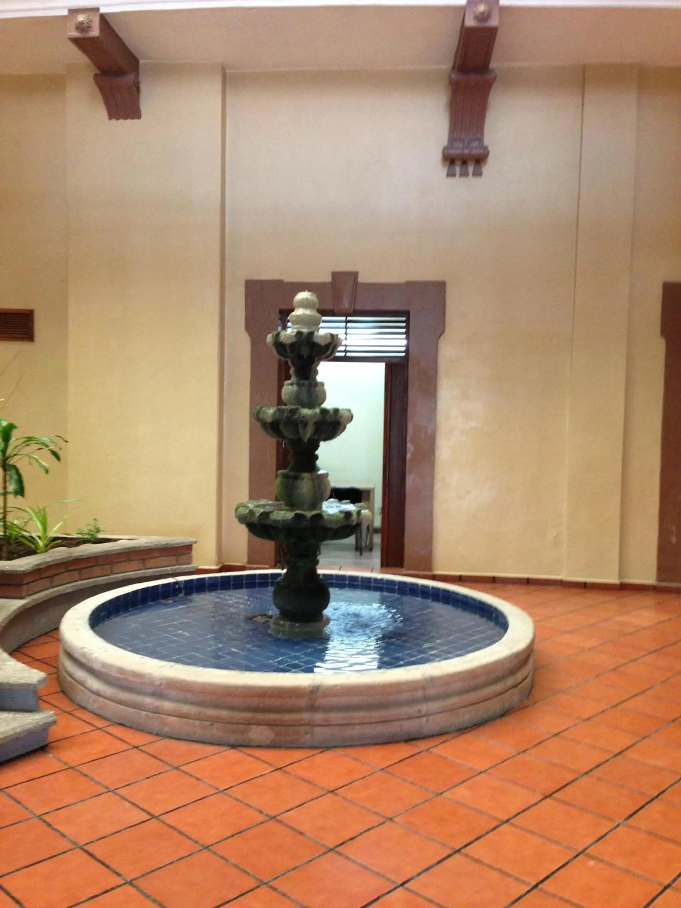 Garden in Hotel Reforma Tuxpan