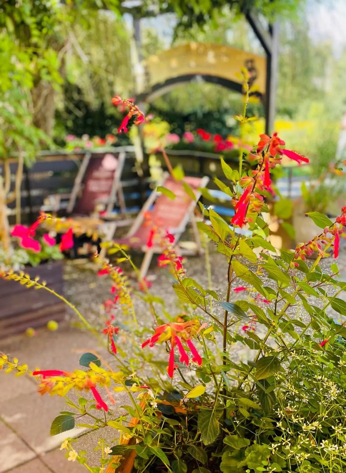 Balcony/Terrace in Hotel Waldesruh