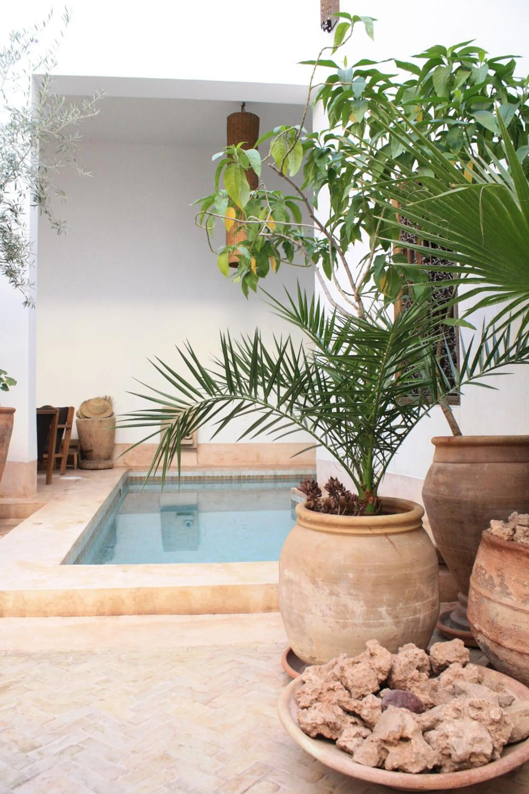 Swimming pool in Riad UP