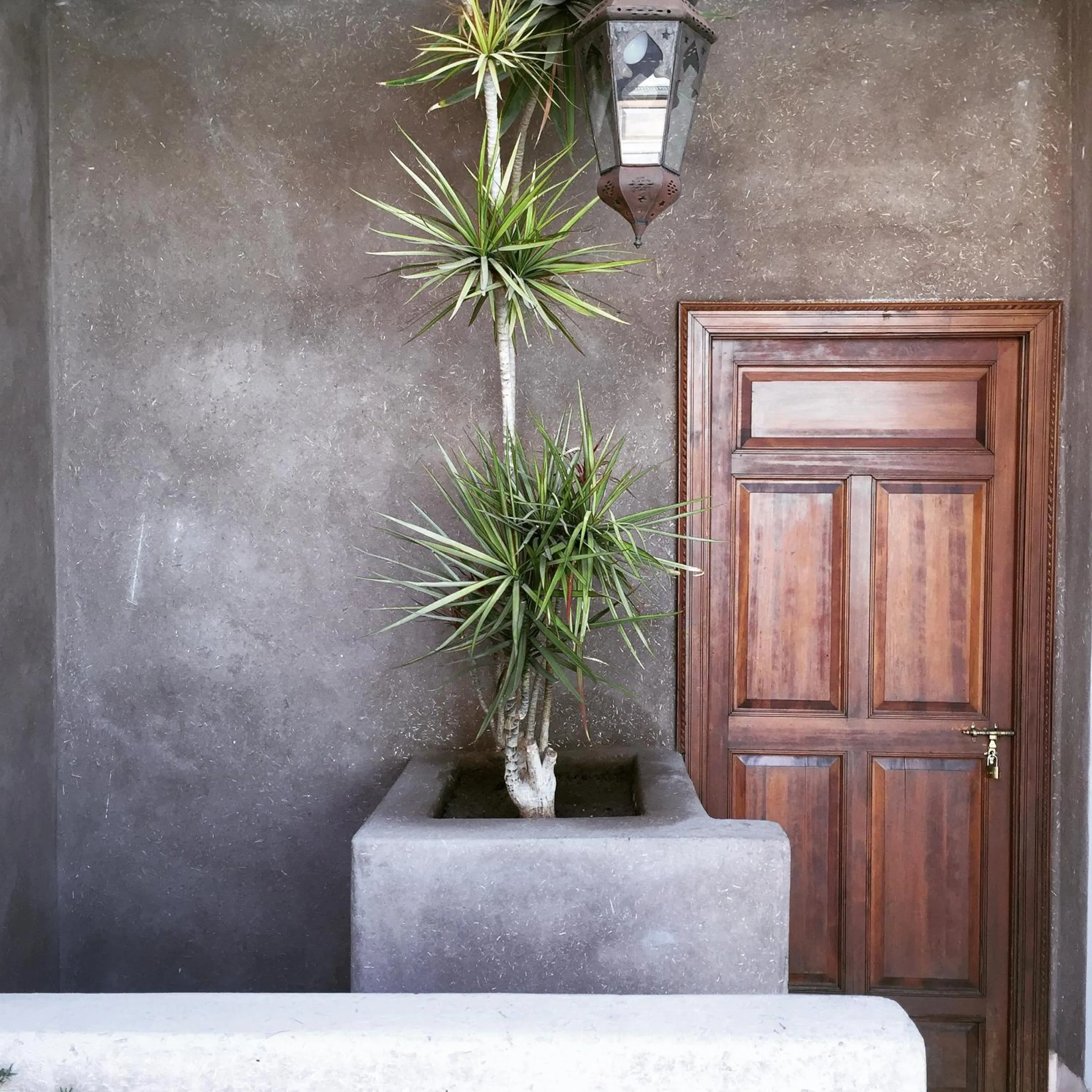 Property building in Riad UP