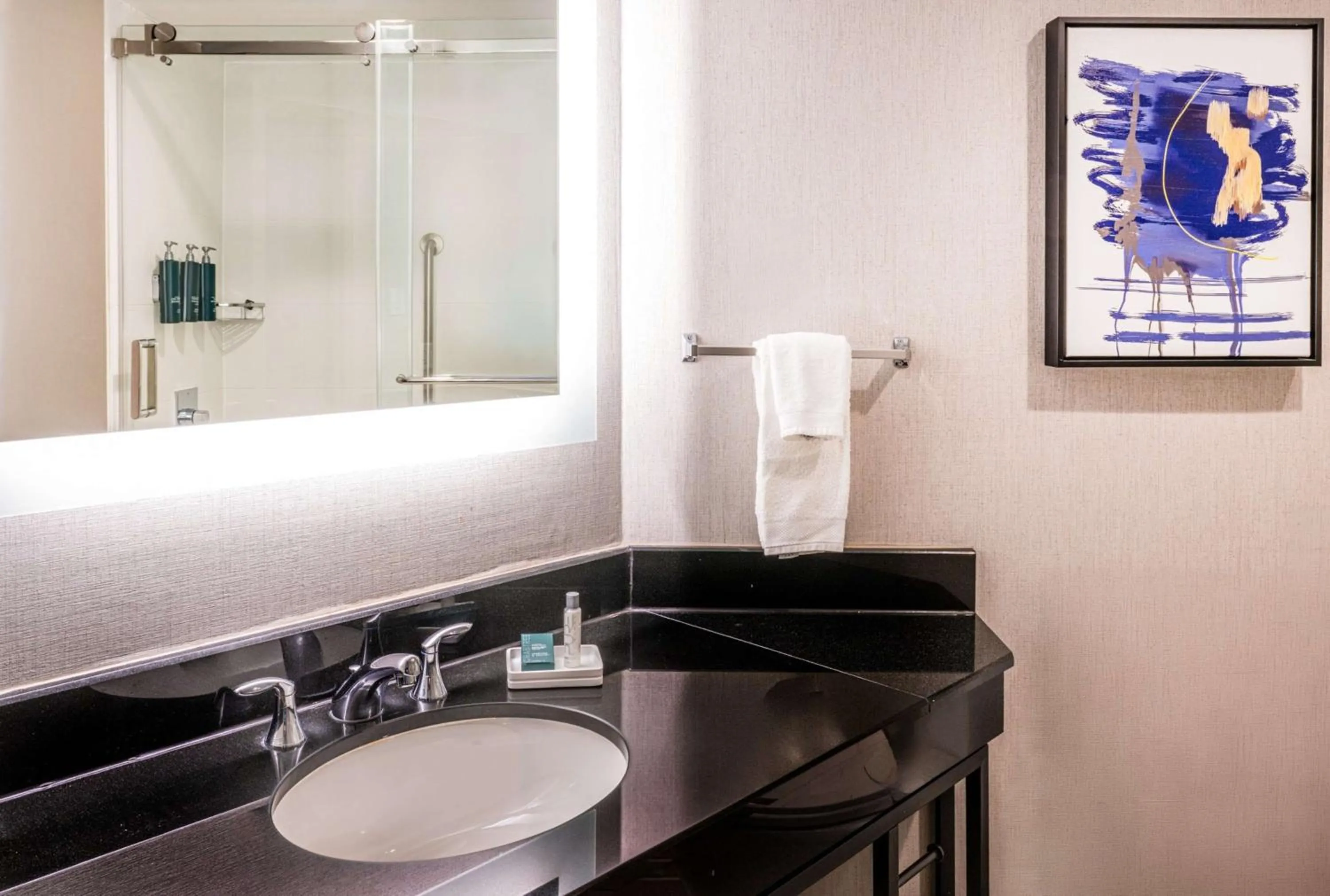 Bathroom in Hilton Richardson Dallas, TX