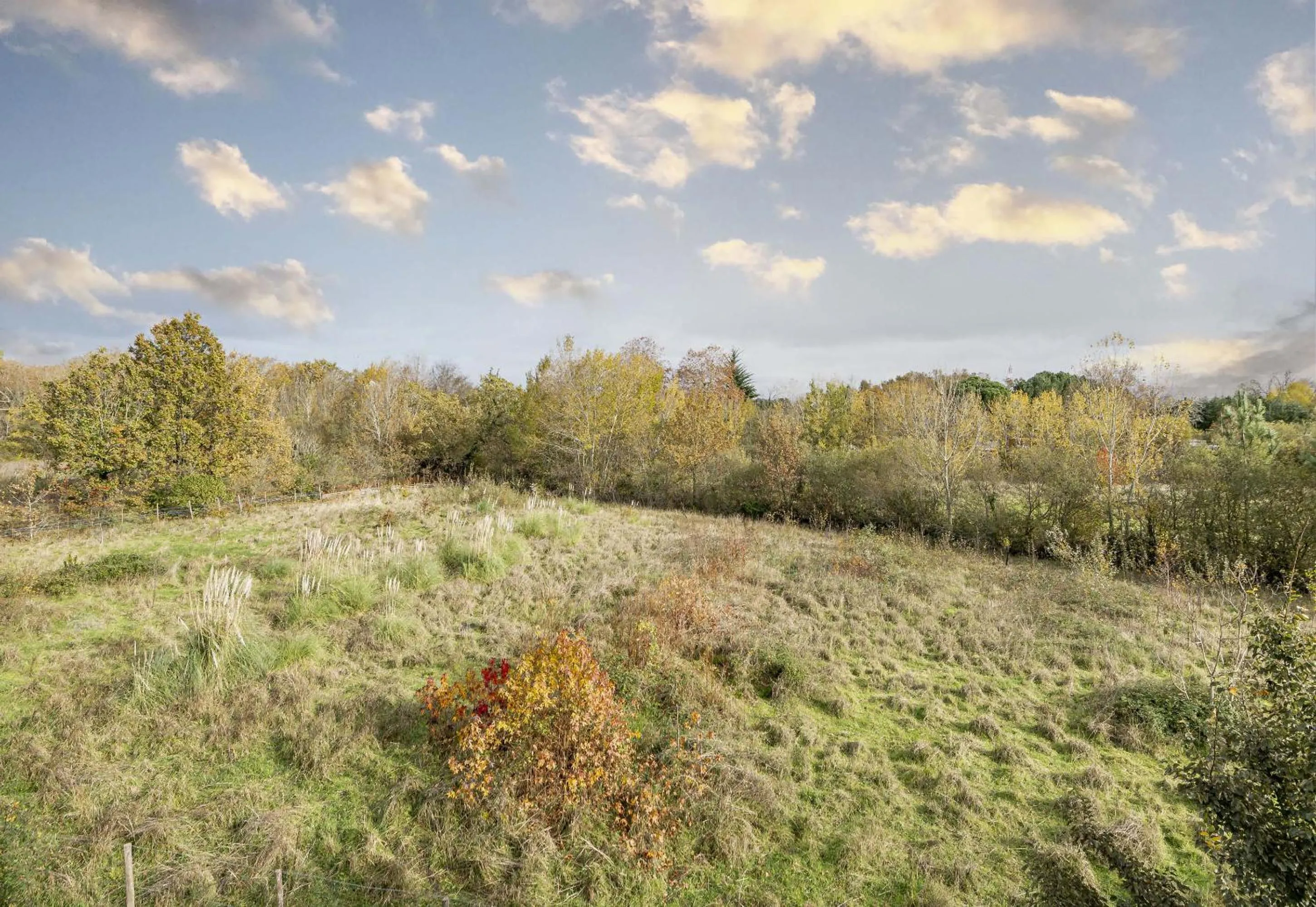 Natural landscape in B&B HOTEL Bordeaux Le Haillan 3 étoiles