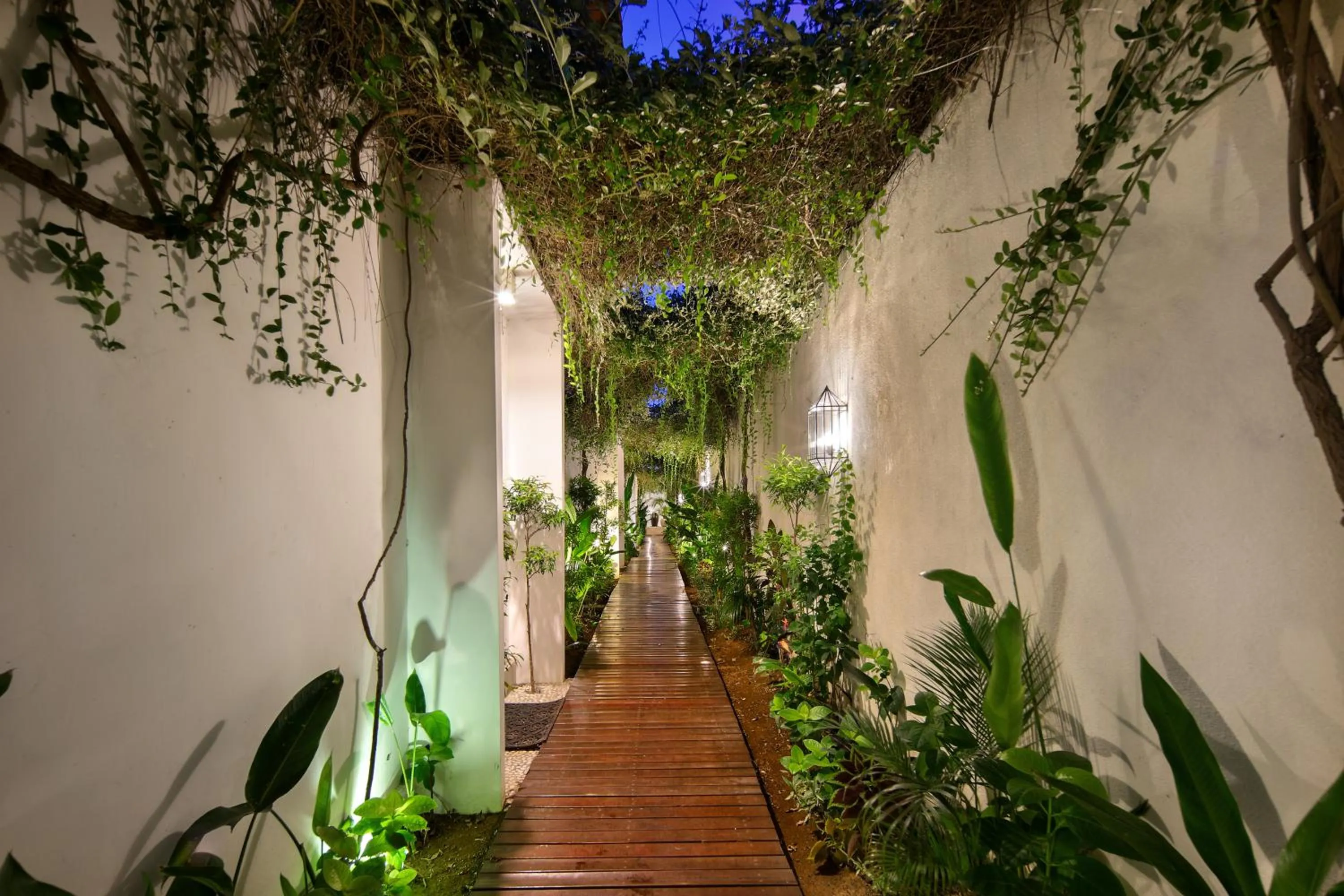 Garden in The Luxury Collection, Monaco Blu