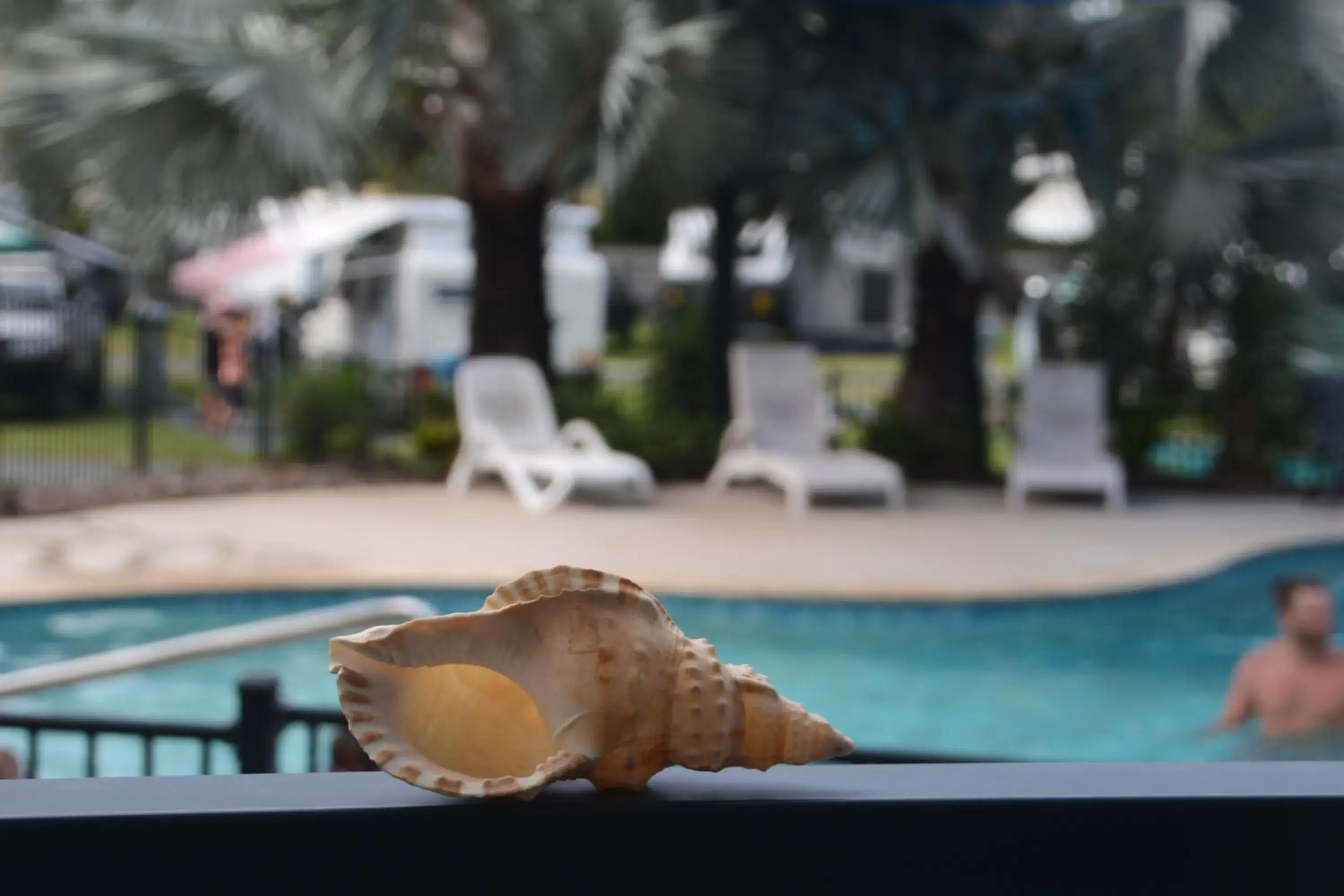 Poolside Family Villa in BIG4 Mackay Blacks Beach Holiday Park Poolside Family Villa in BIG4 Mackay Blacks Beach Holiday Park